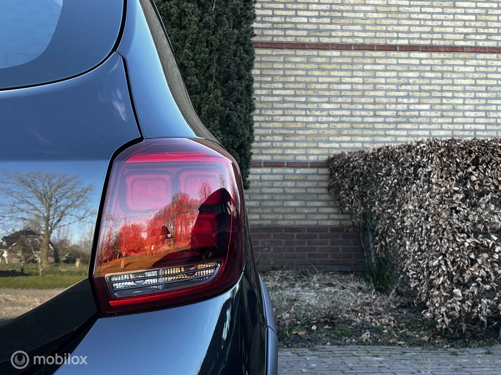 Hoofdafbeelding Dacia Sandero Stepway