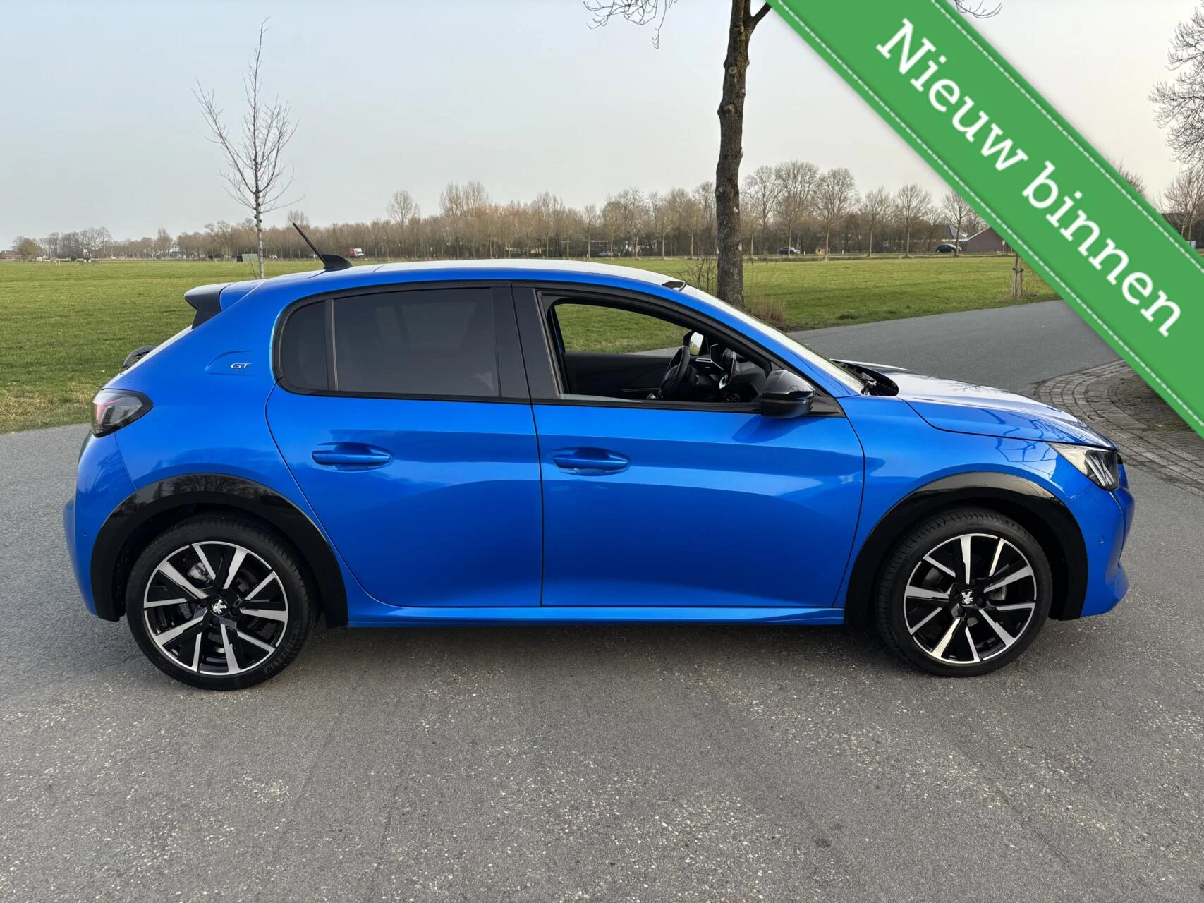 Hoofdafbeelding Peugeot 208