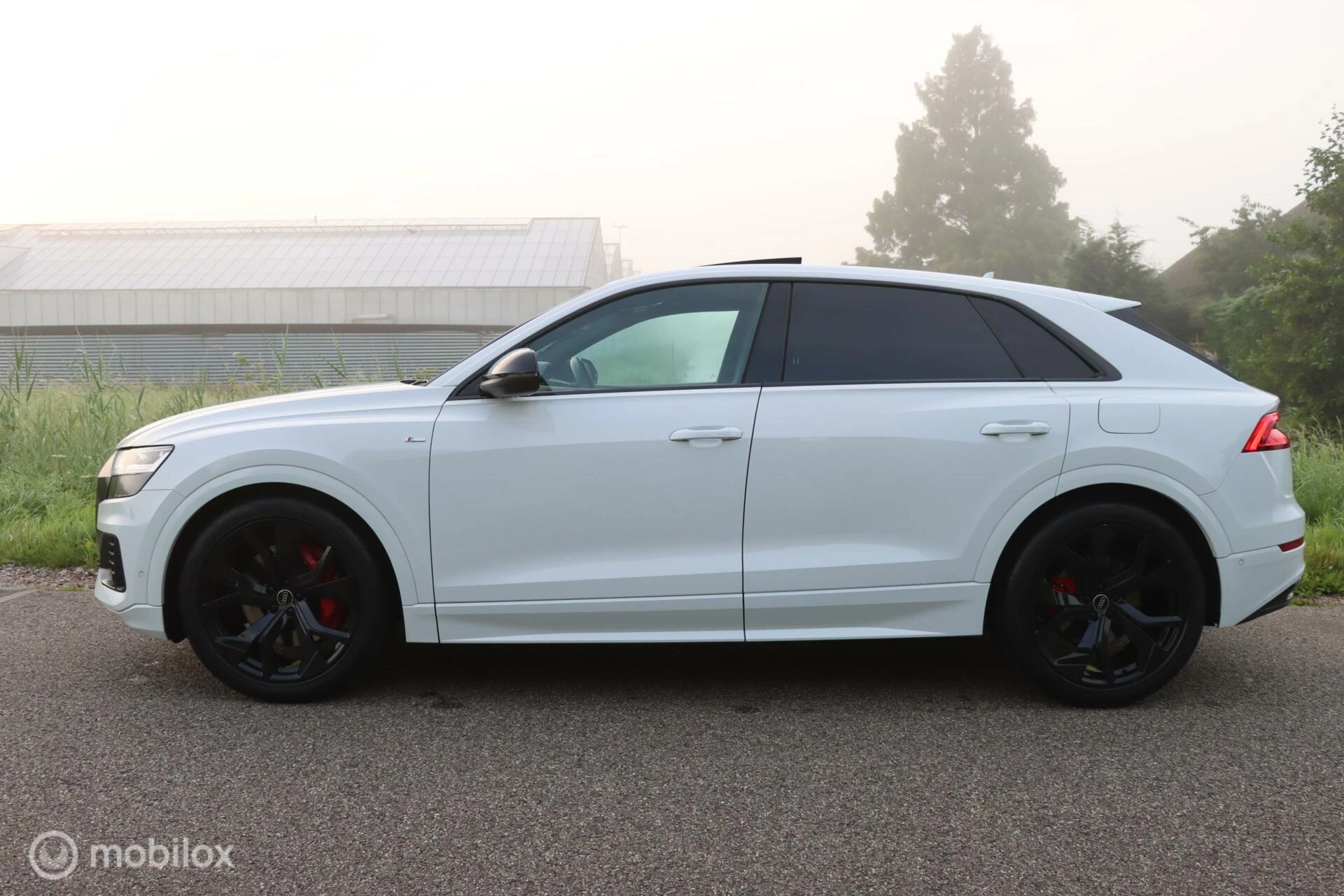 Hoofdafbeelding Audi Q8