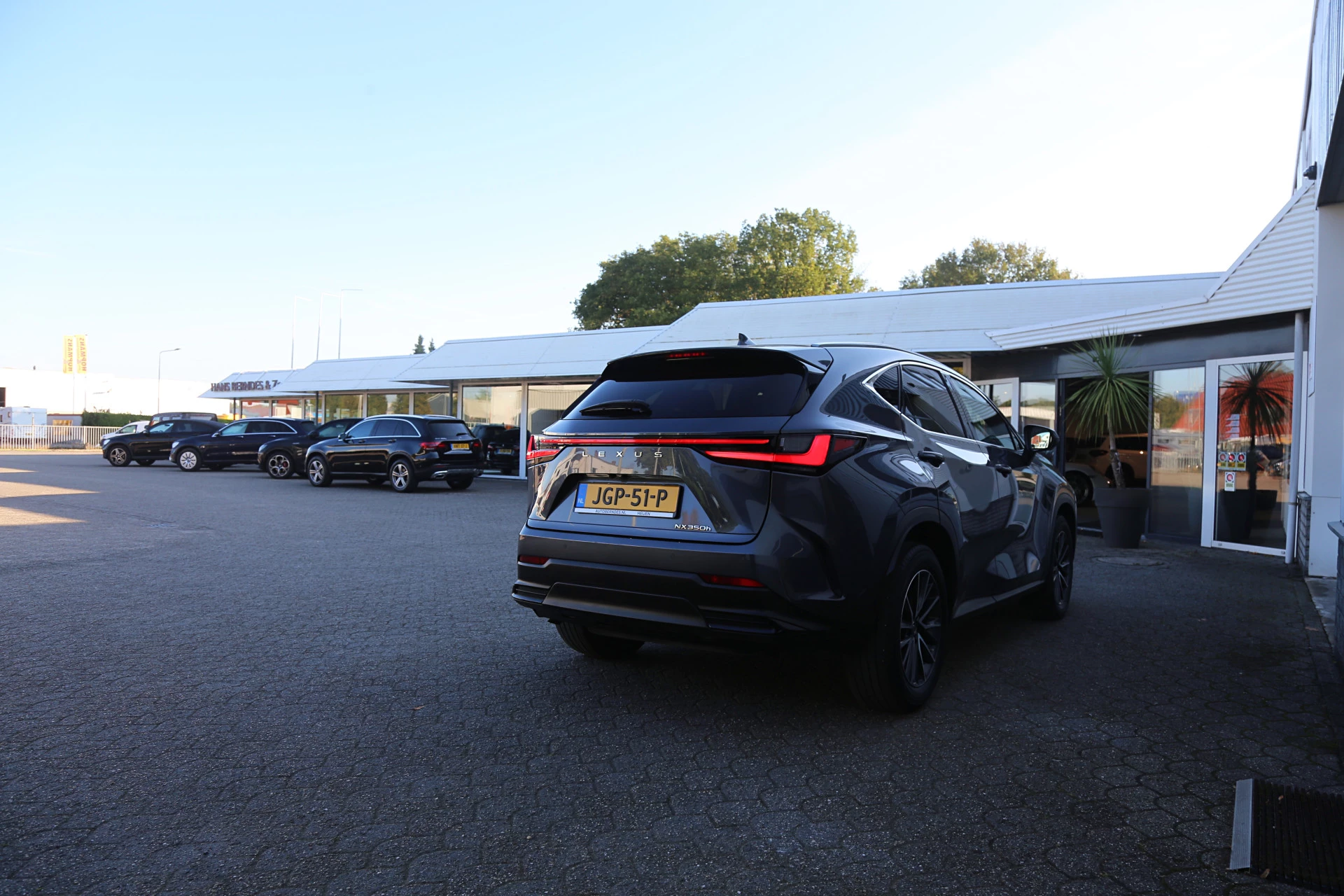 Hoofdafbeelding Lexus NX