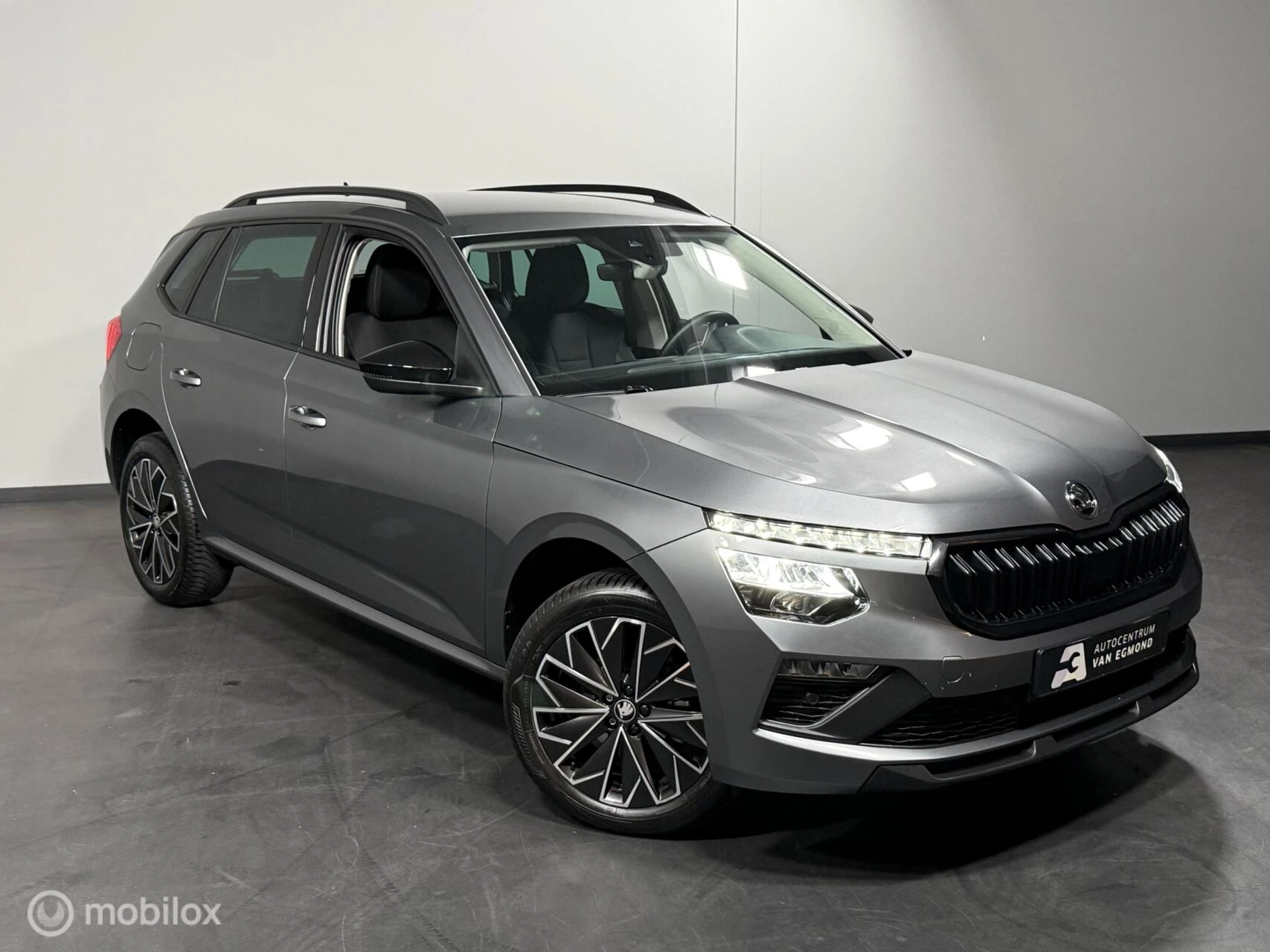 Hoofdafbeelding Škoda Kamiq