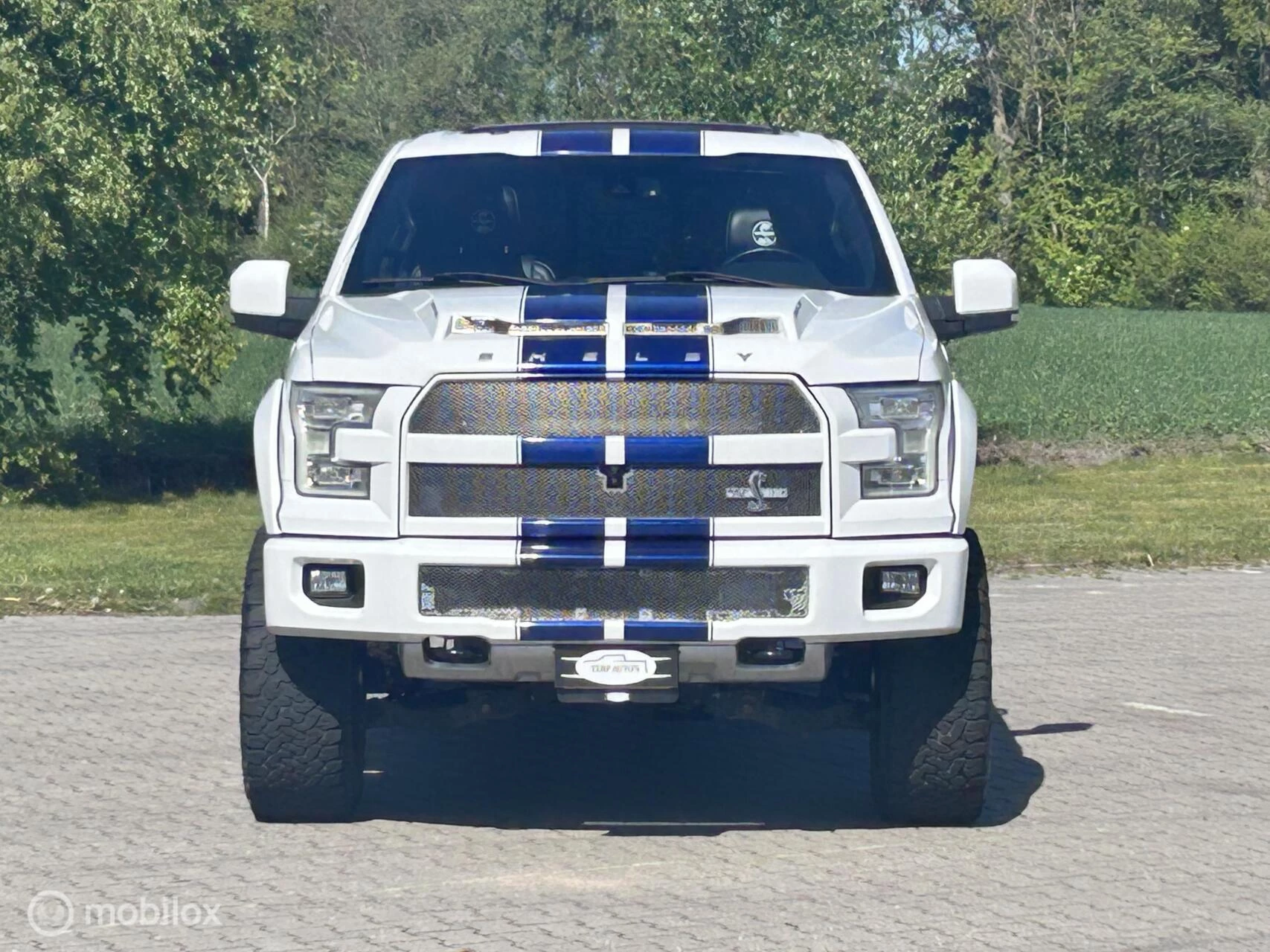 Hoofdafbeelding Ford F-150