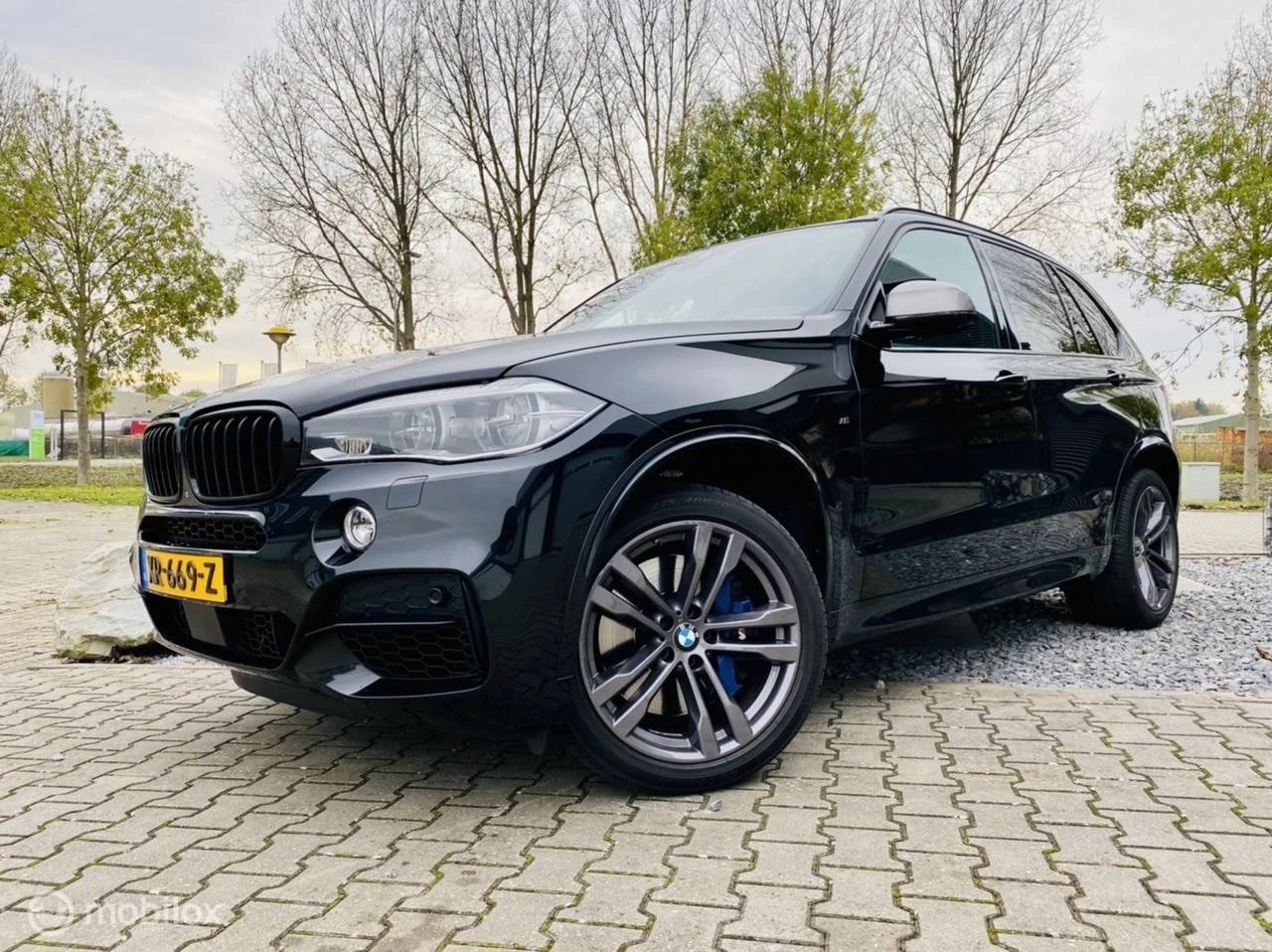 Hoofdafbeelding BMW X5