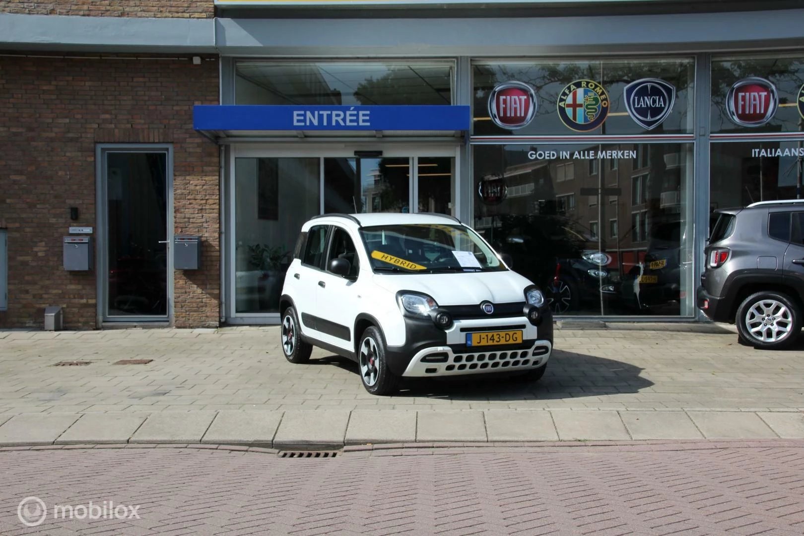 Hoofdafbeelding Fiat Panda