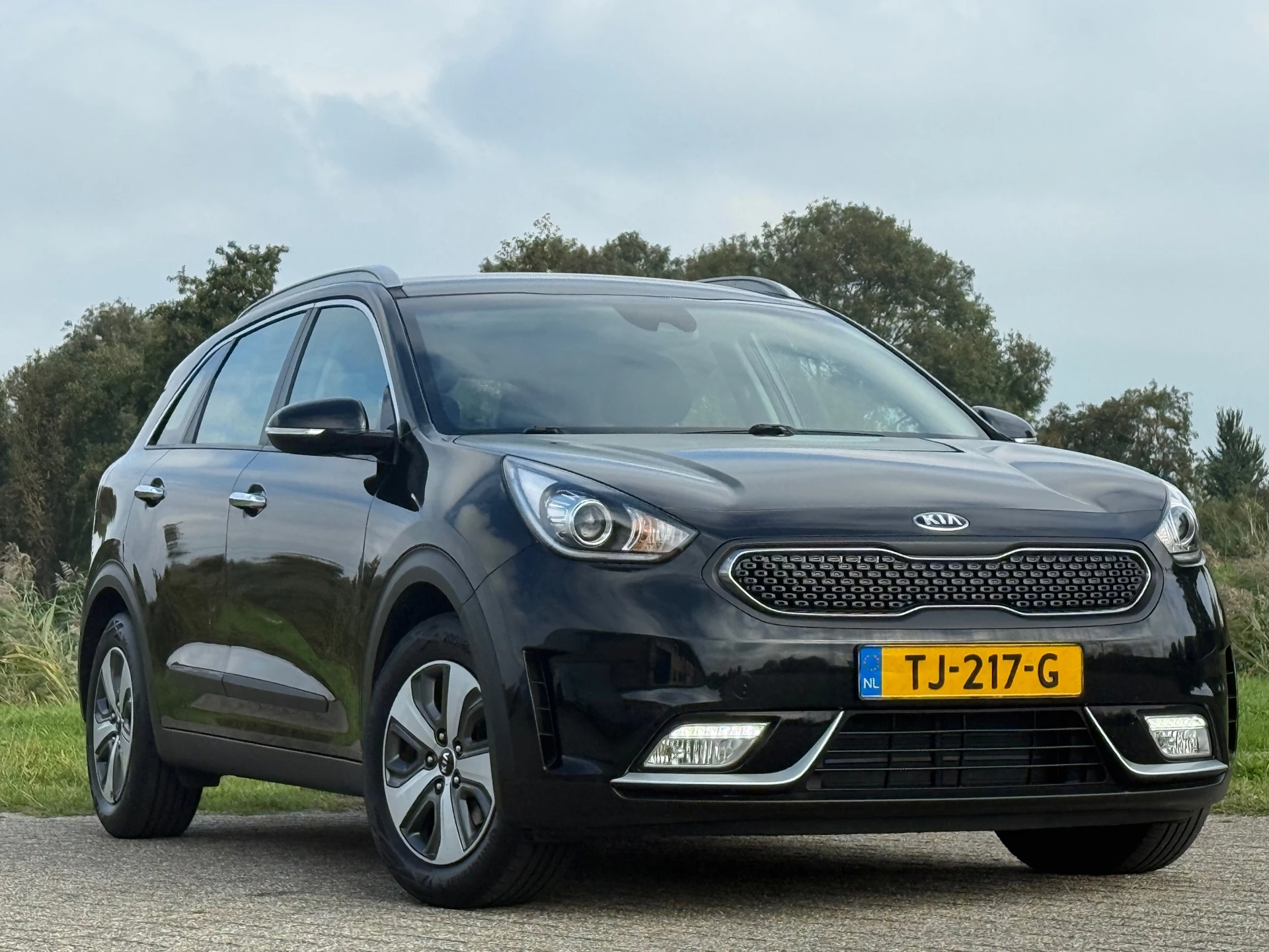 Hoofdafbeelding Kia Niro