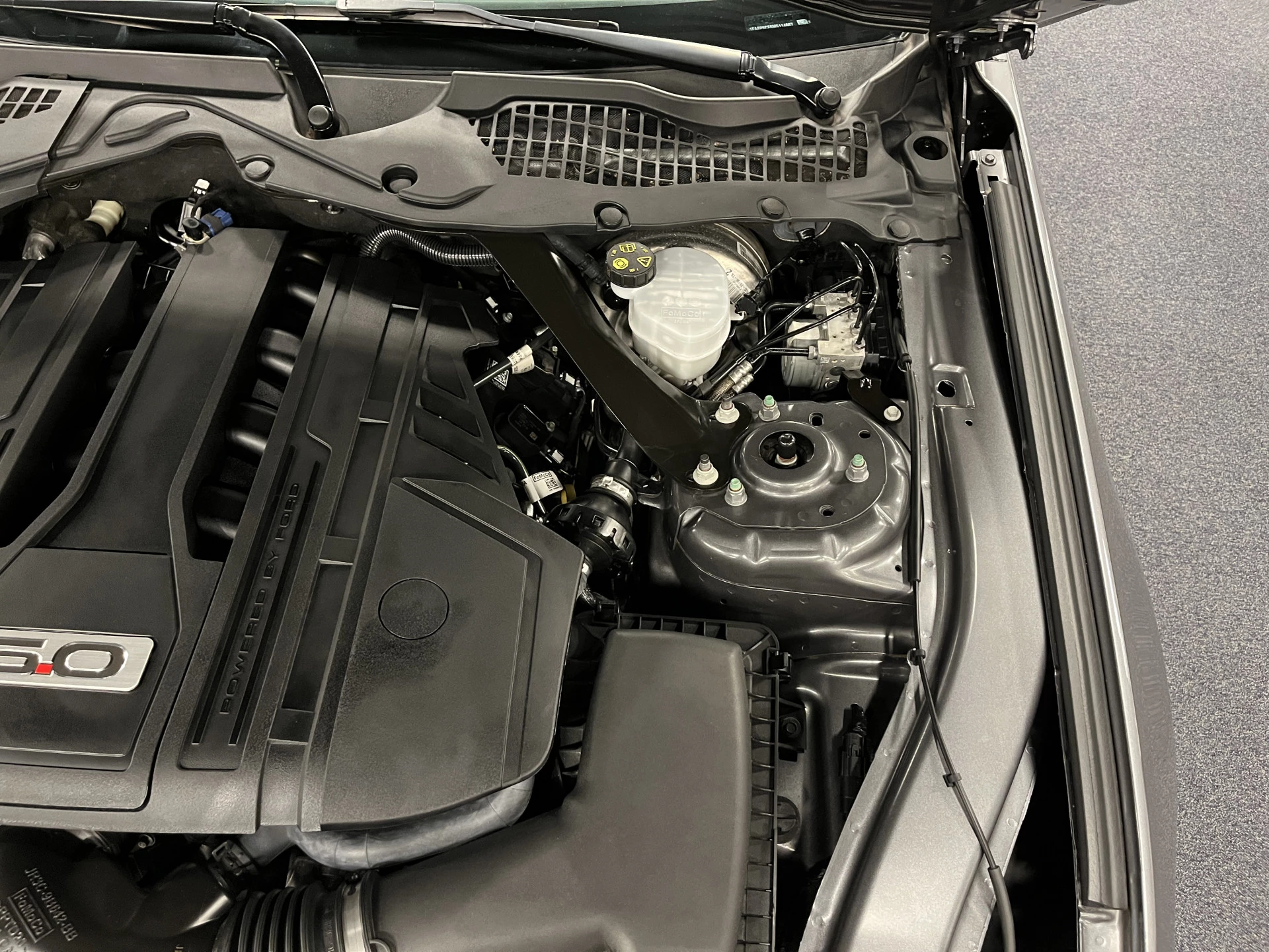 Hoofdafbeelding Ford Mustang