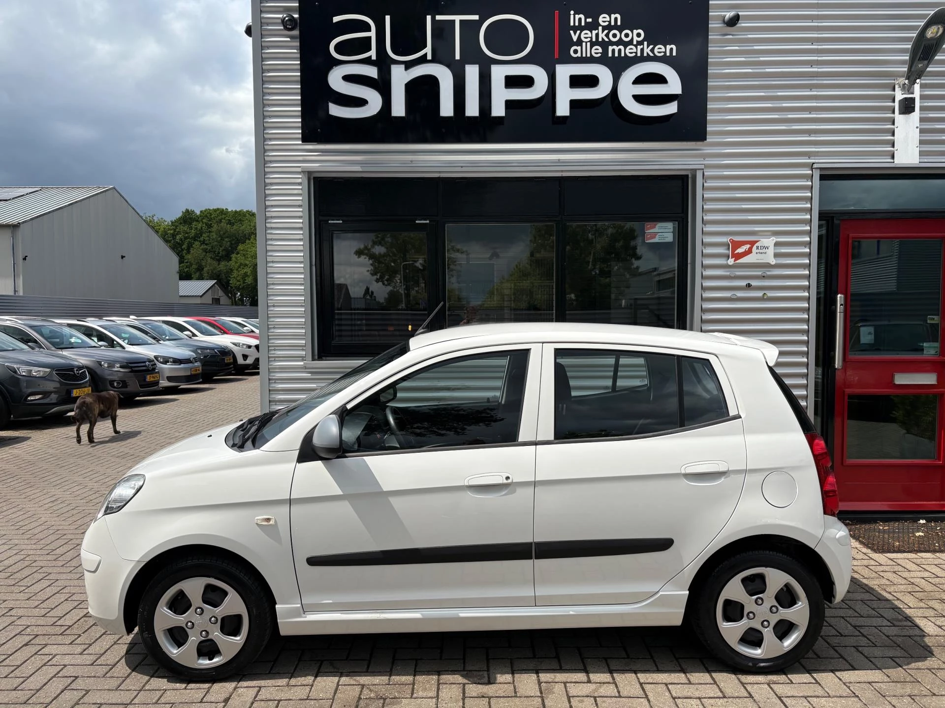 Hoofdafbeelding Kia Picanto