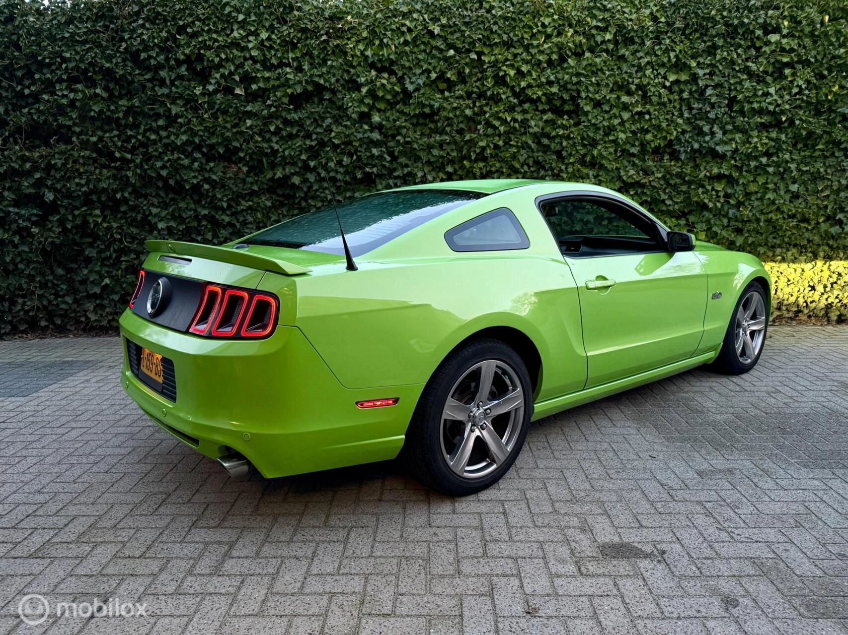 Hoofdafbeelding Ford Mustang