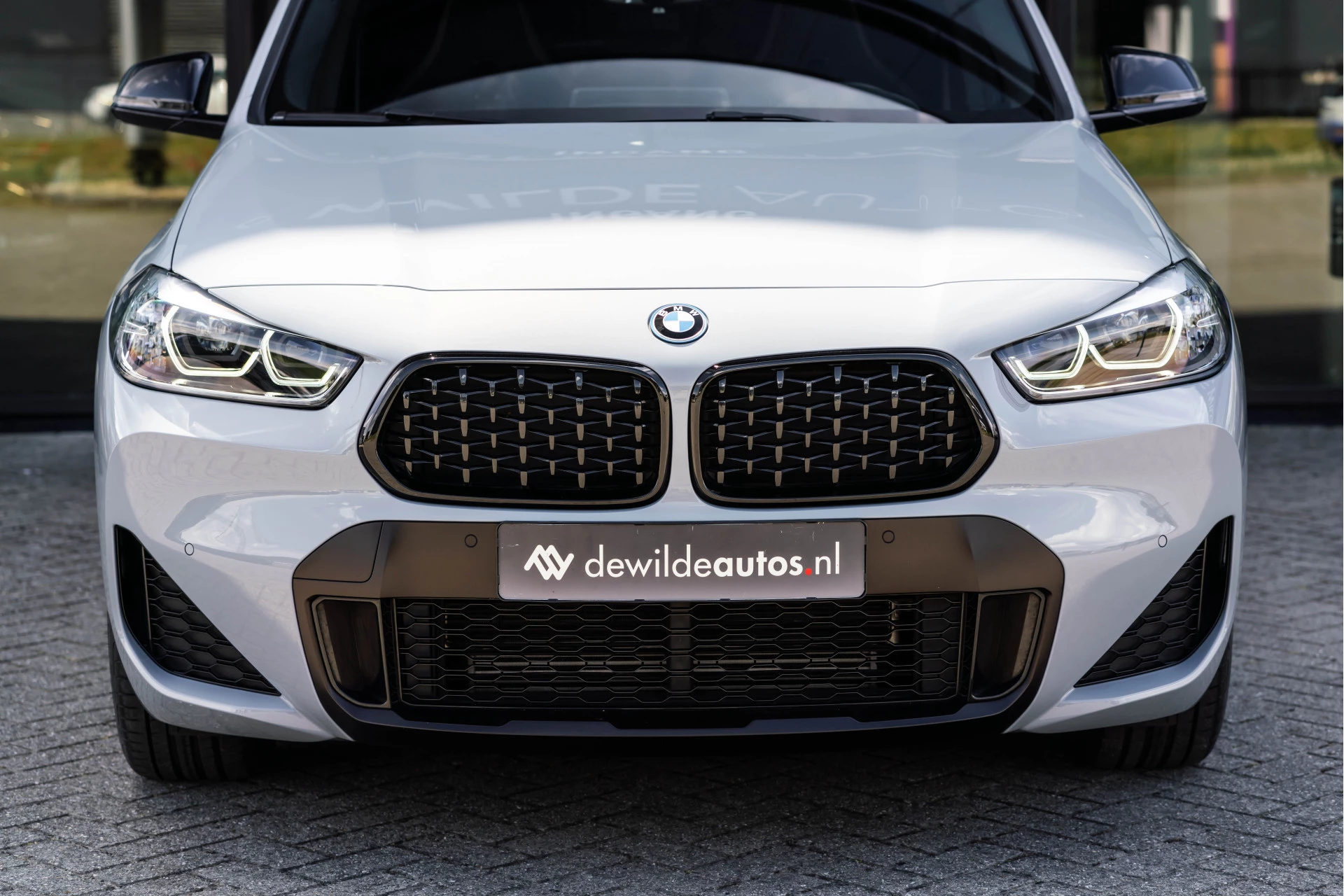 Hoofdafbeelding BMW X2