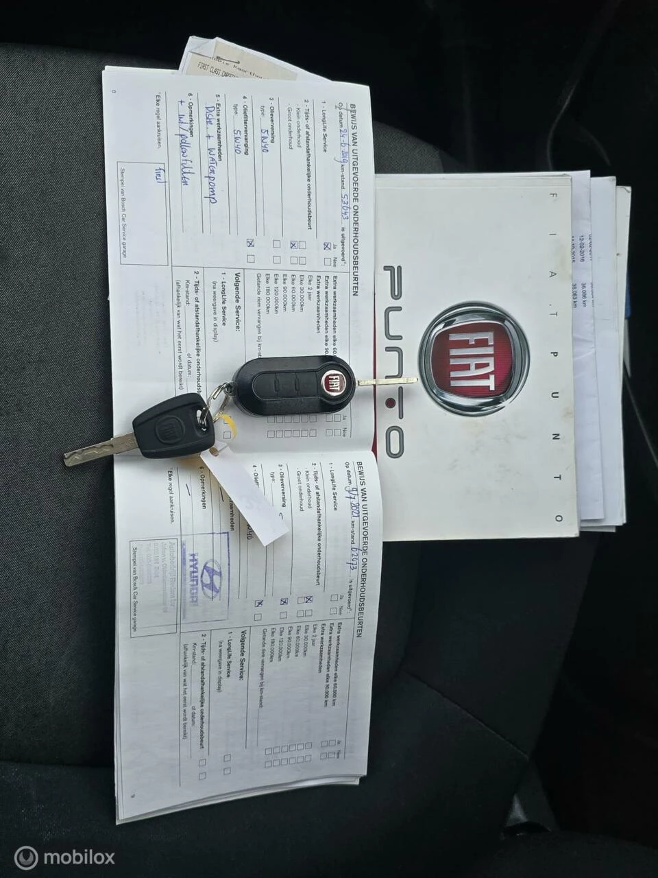 Hoofdafbeelding Fiat Punto
