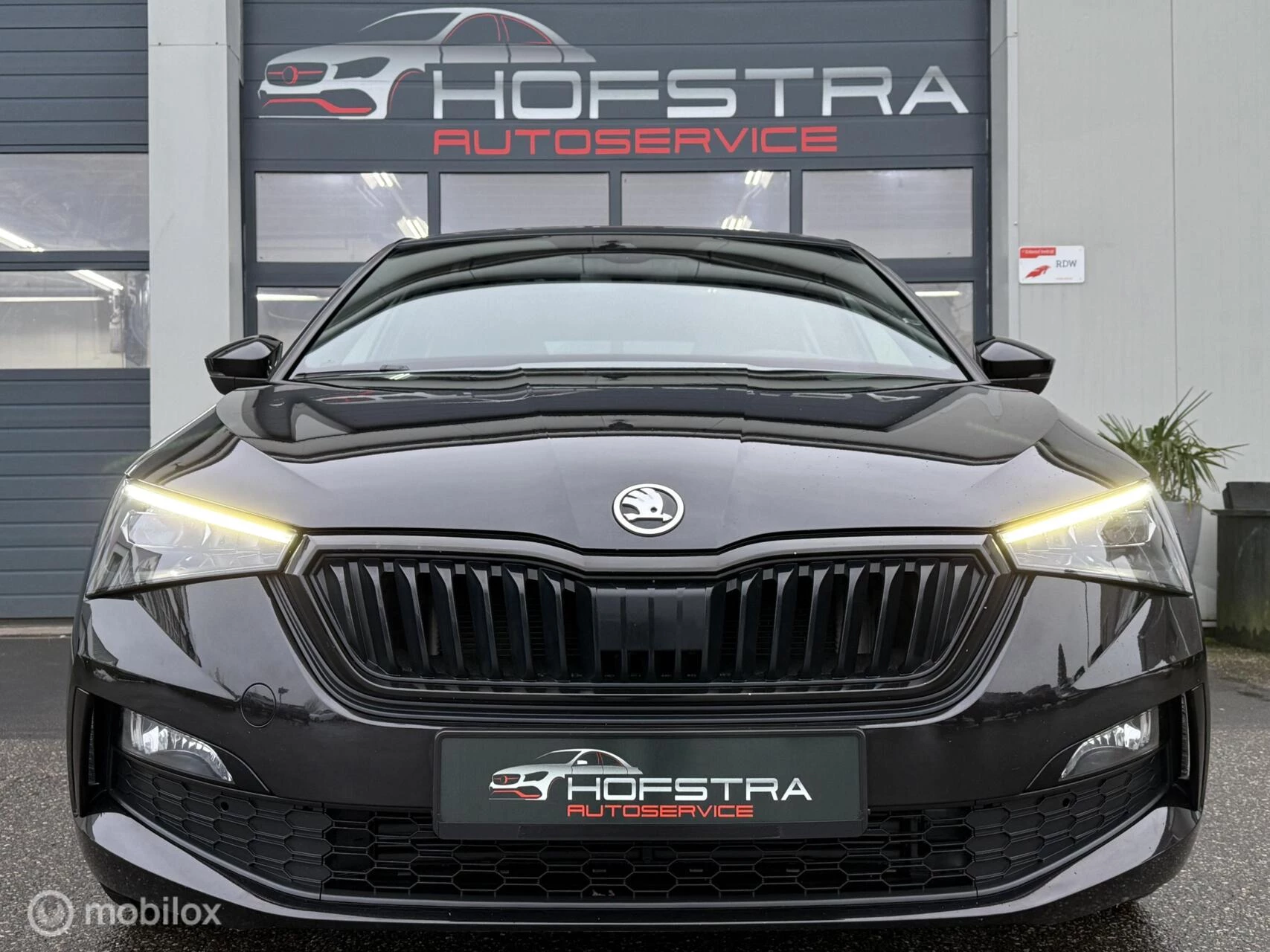 Hoofdafbeelding Škoda Scala