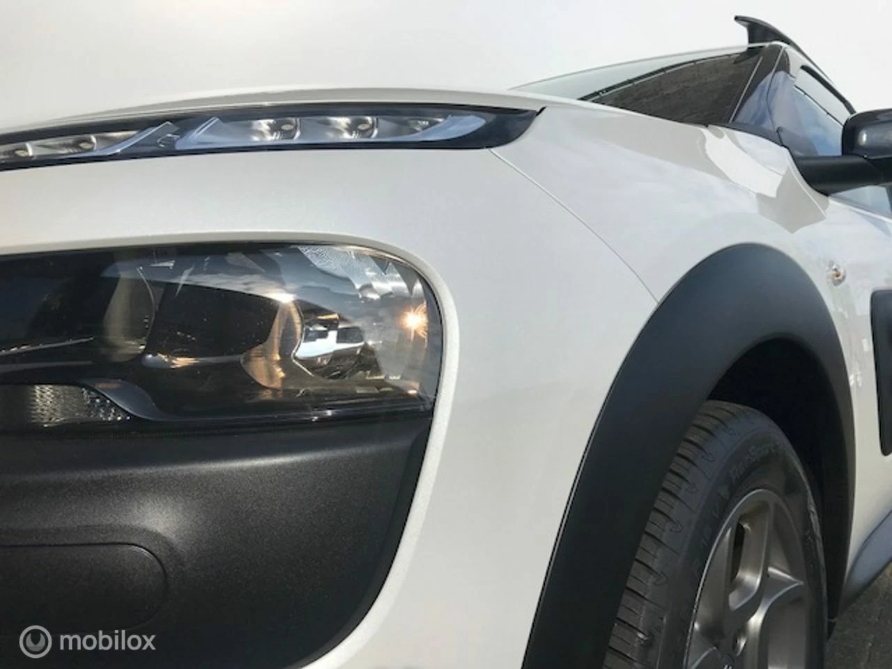 Hoofdafbeelding Citroën C4 Cactus