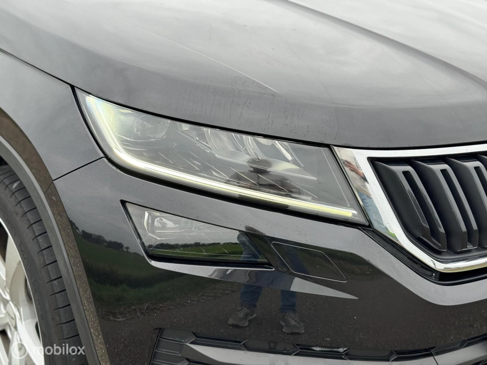 Hoofdafbeelding Škoda Kodiaq