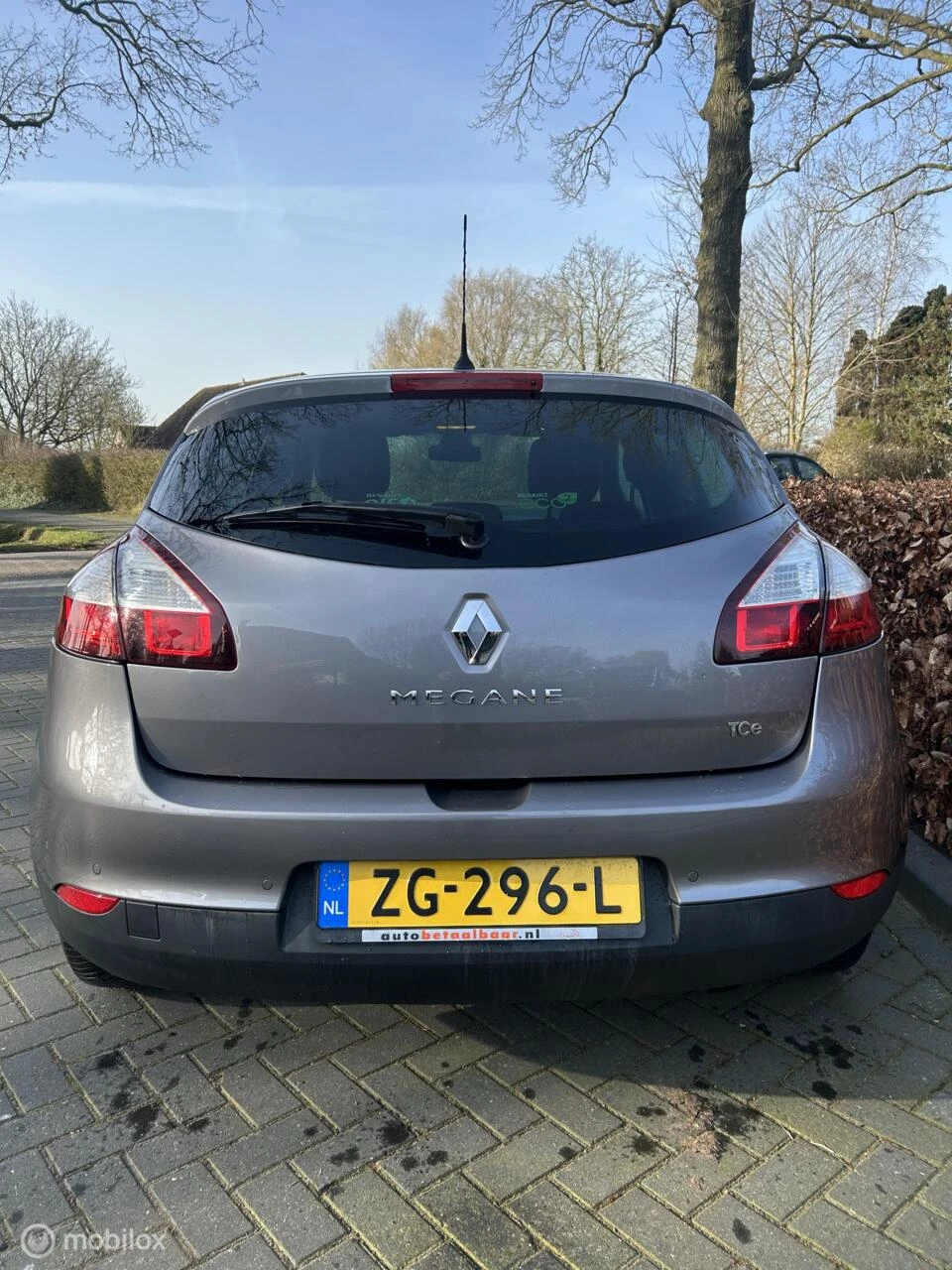 Hoofdafbeelding Renault Mégane