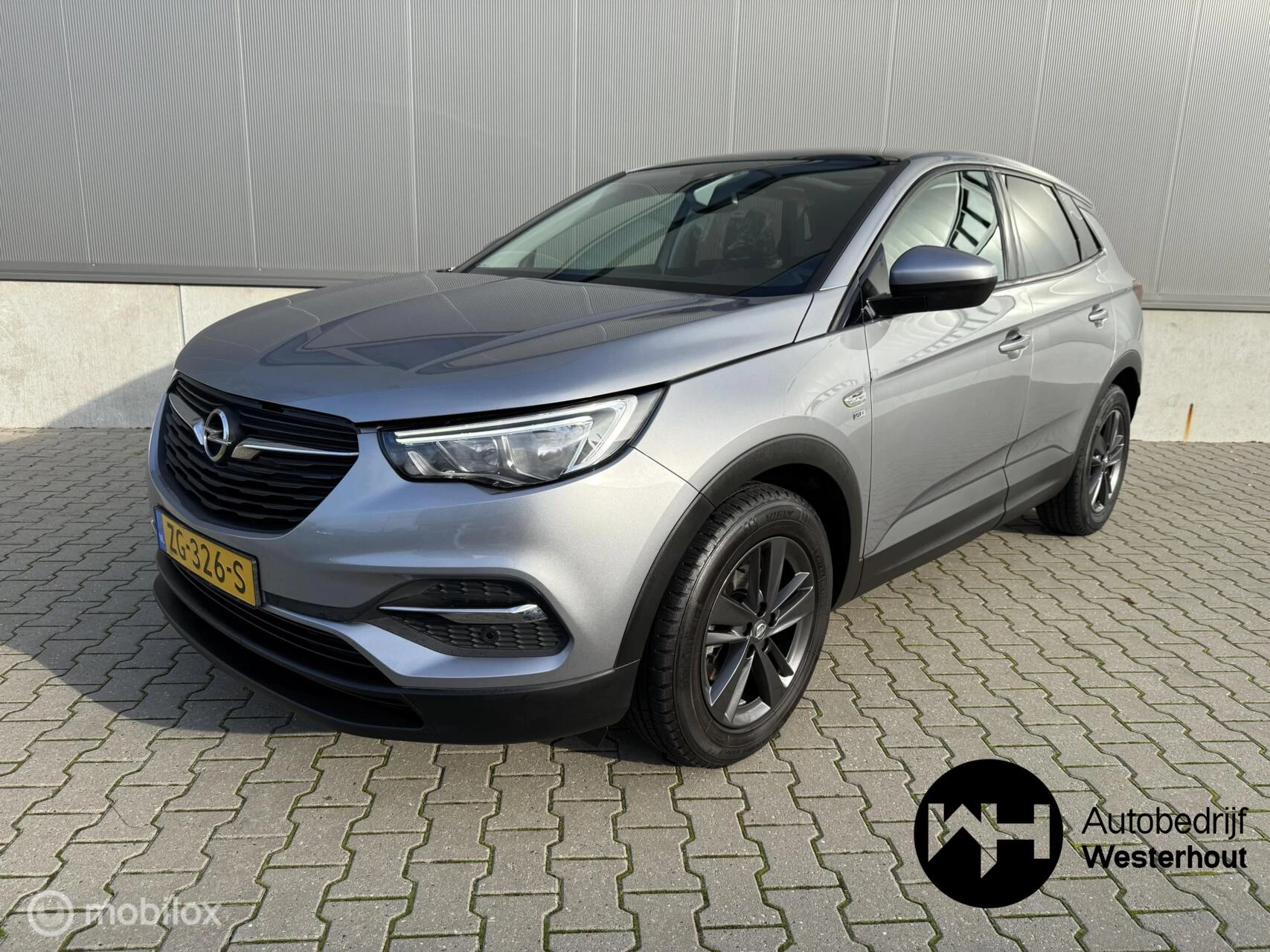 Hoofdafbeelding Opel Grandland X