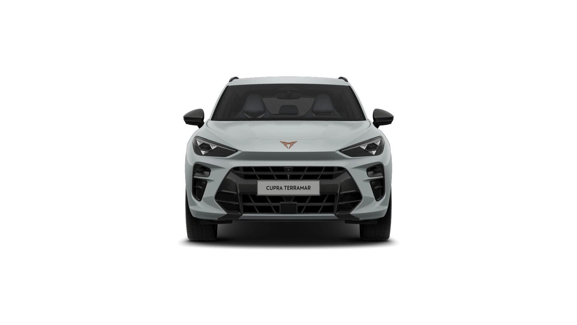 Hoofdafbeelding CUPRA Terramar
