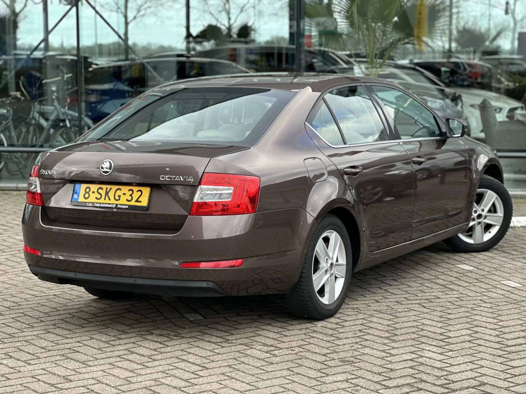 Hoofdafbeelding Škoda Octavia