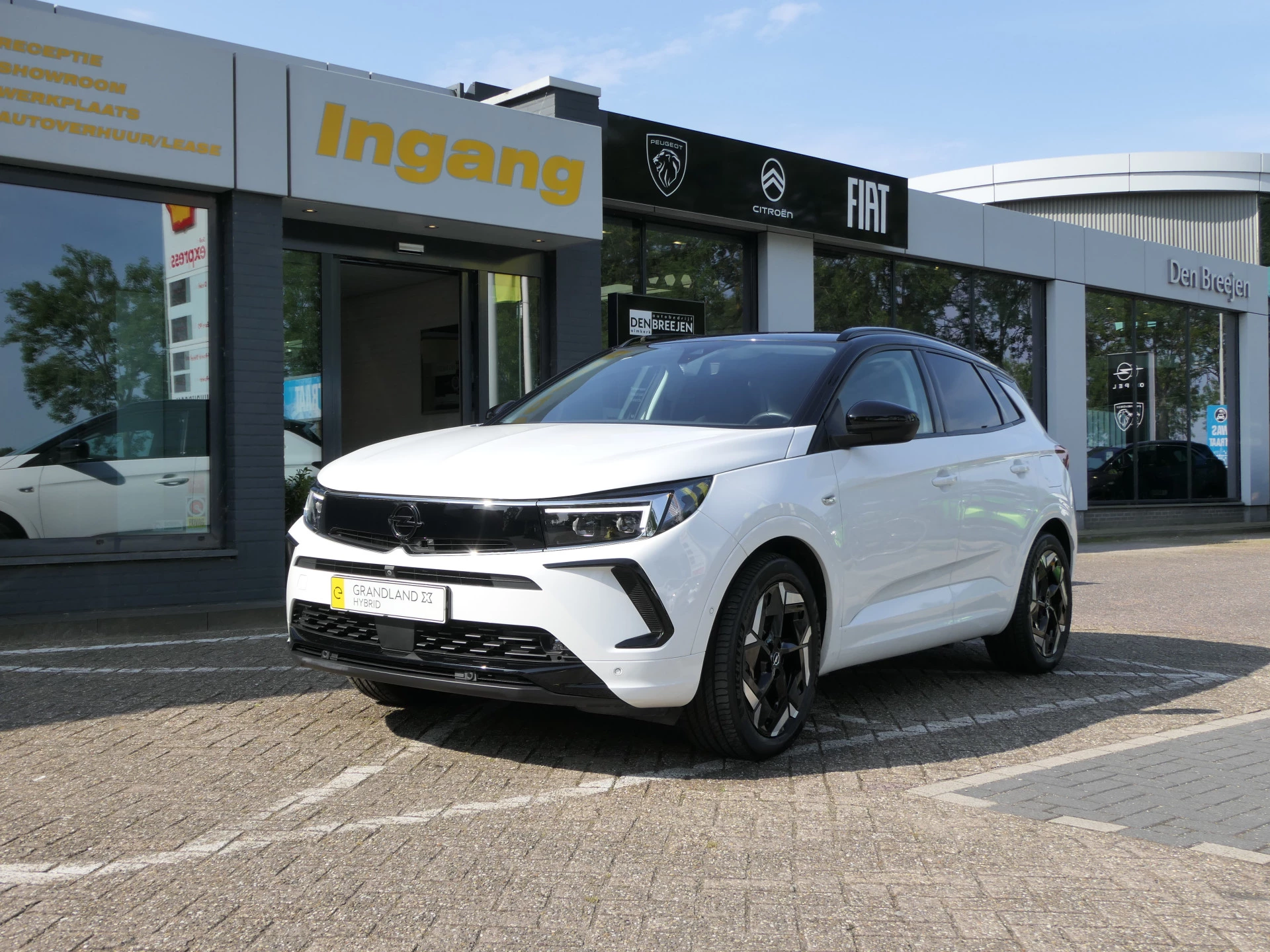 Hoofdafbeelding Opel Grandland