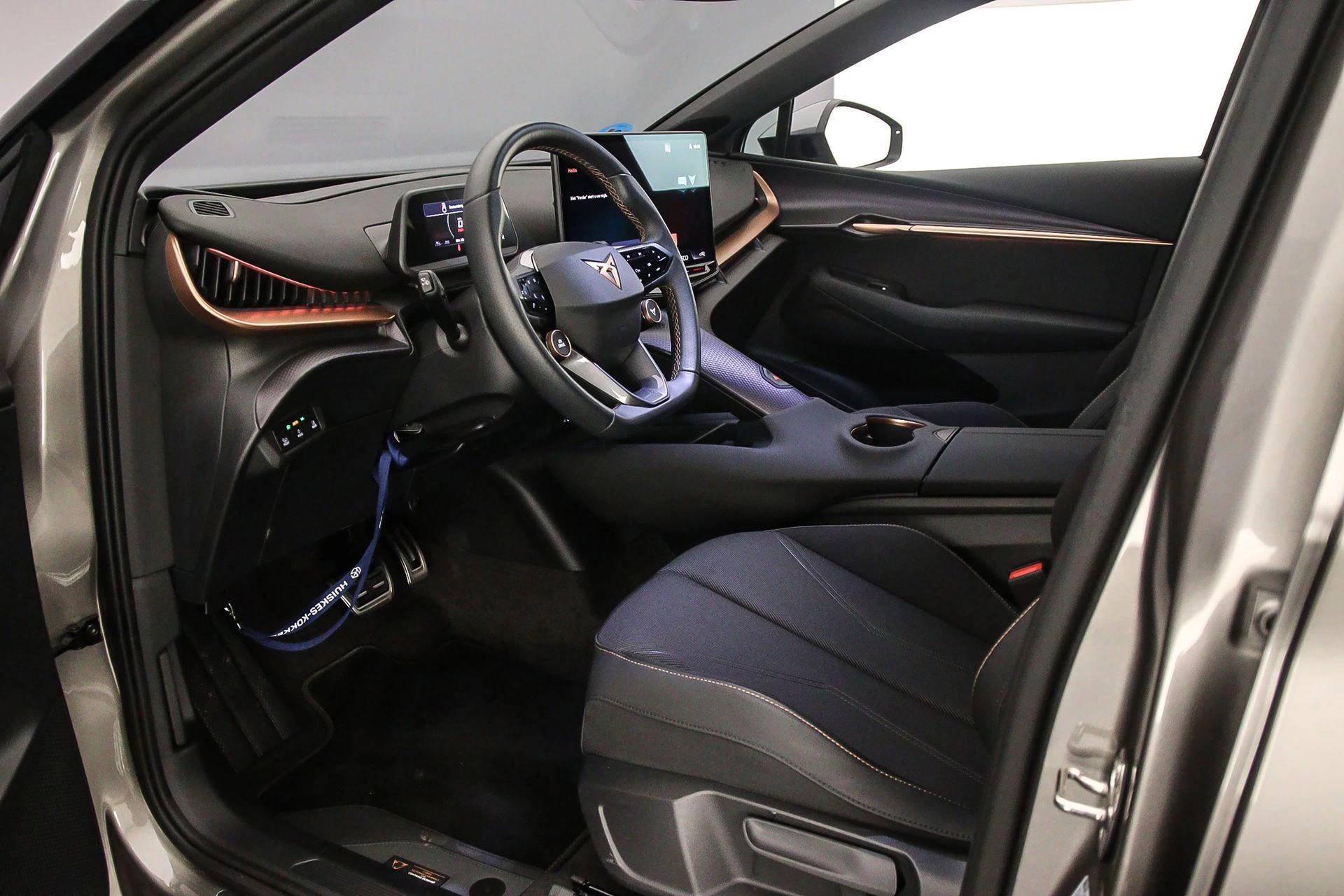 Hoofdafbeelding CUPRA Tavascan