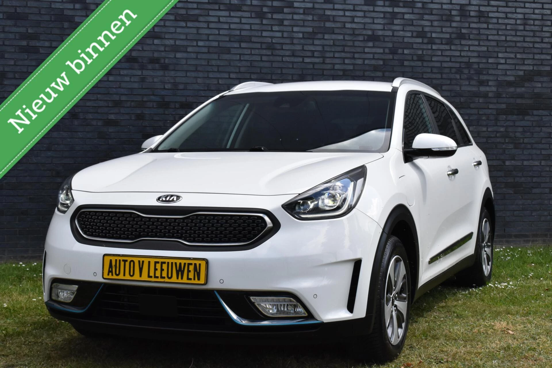 Hoofdafbeelding Kia Niro