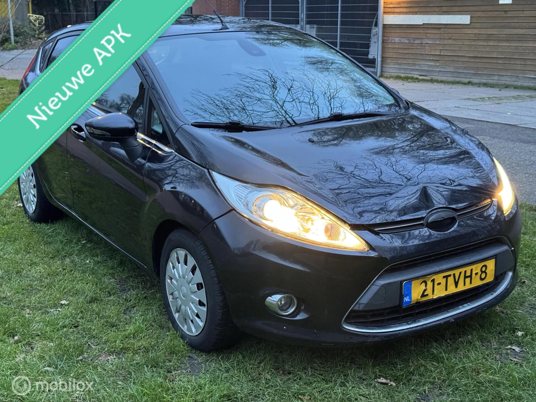 Hoofdafbeelding Ford Fiesta