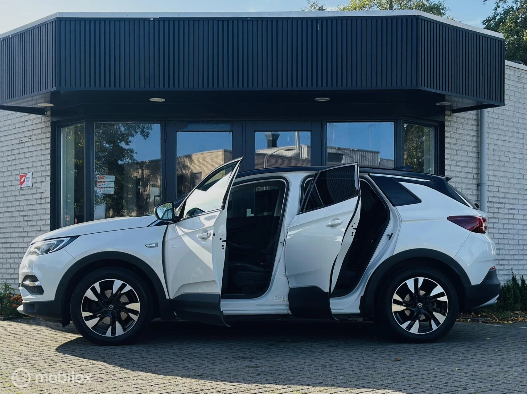 Hoofdafbeelding Opel Grandland X