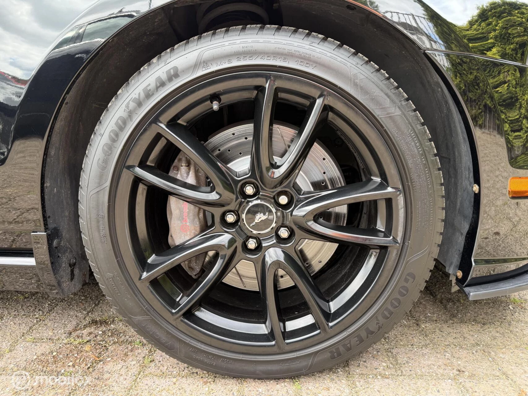 Hoofdafbeelding Ford Mustang