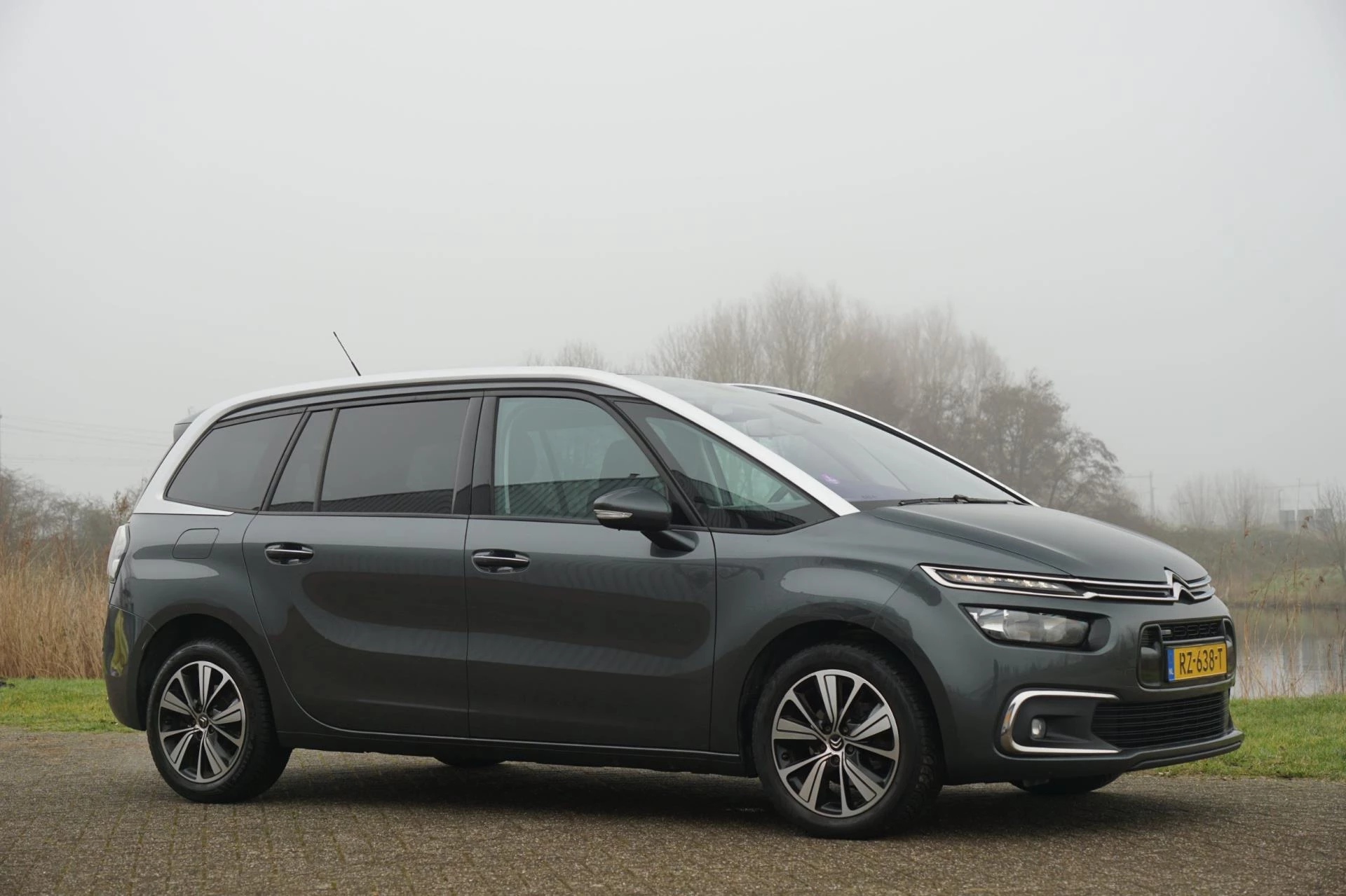 Hoofdafbeelding Citroën Grand C4 Picasso