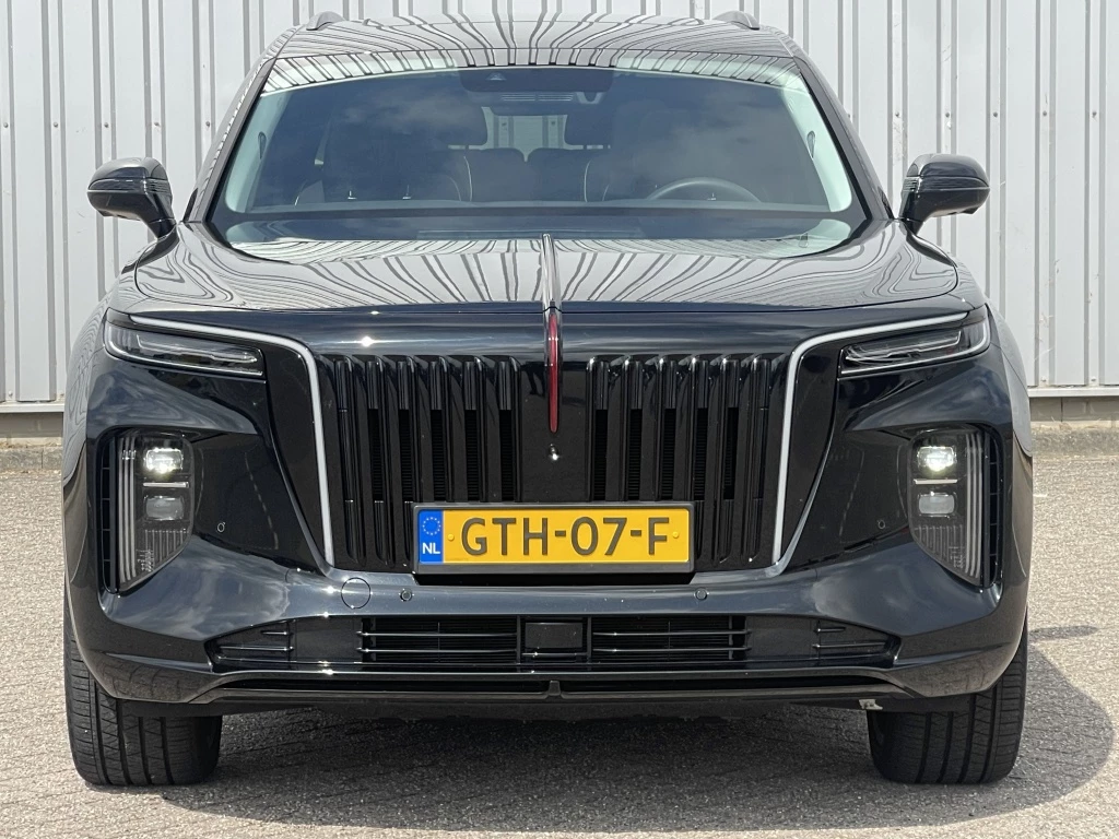 Hoofdafbeelding Faw E-HS9