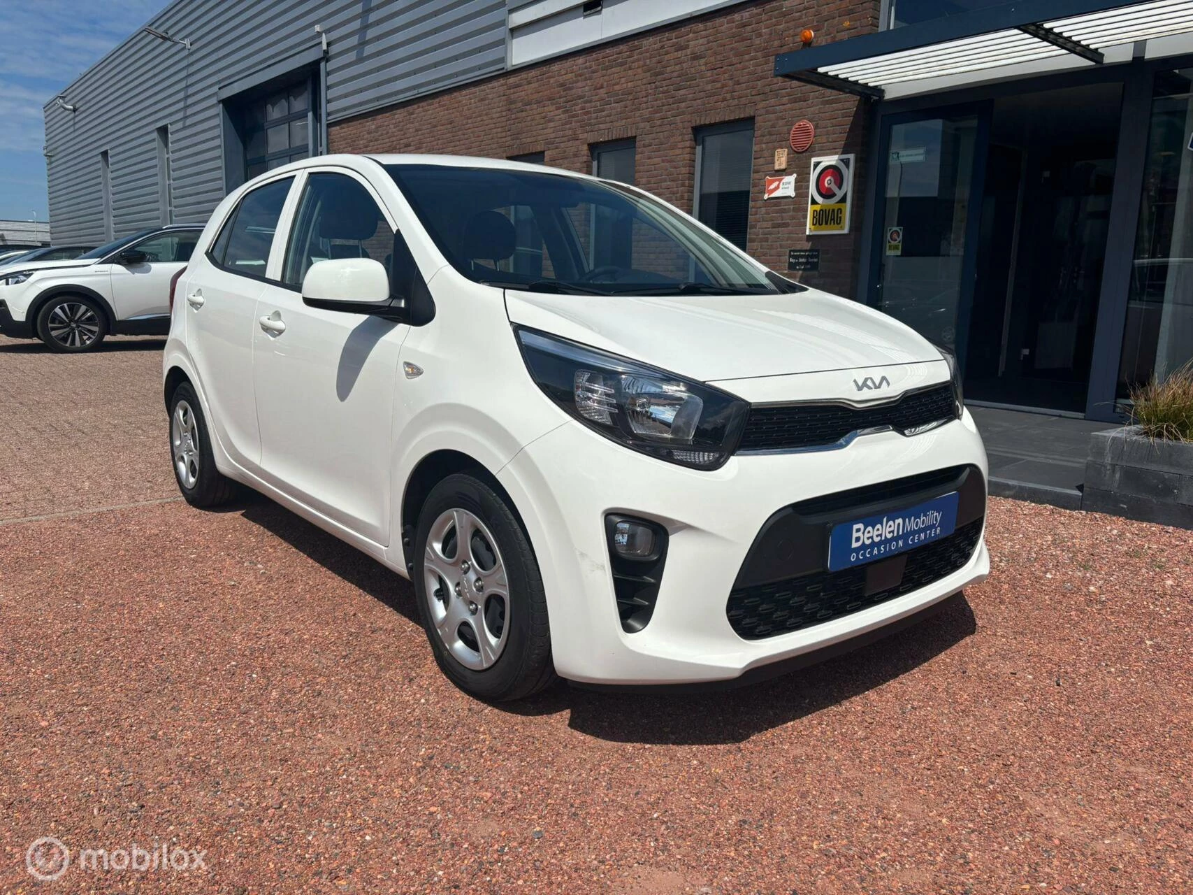 Hoofdafbeelding Kia Picanto