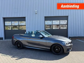 BMW 2 Serie 220I High Executive M-sport I Alcantara I Navi All-in prijs!