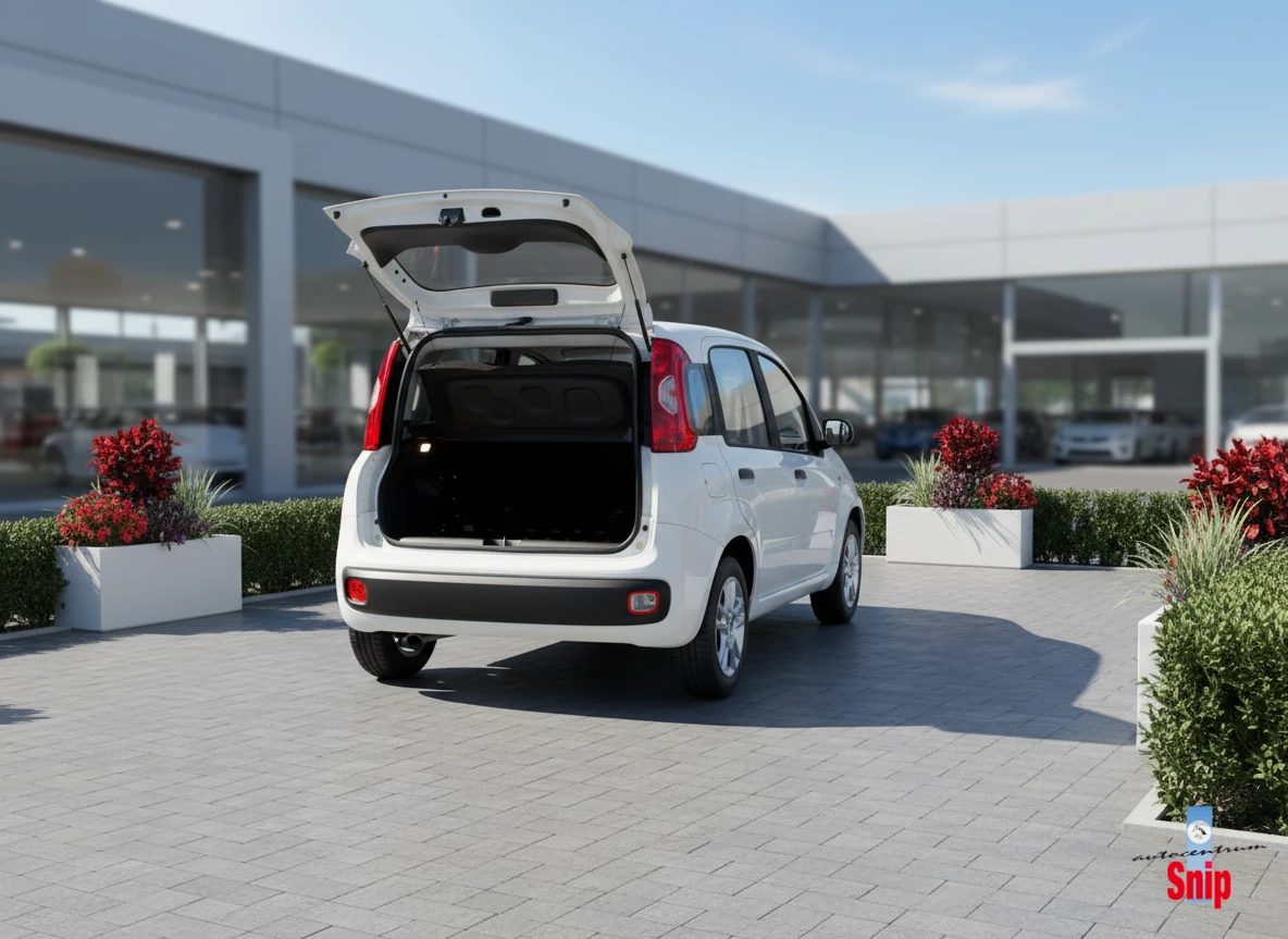Hoofdafbeelding Fiat Panda