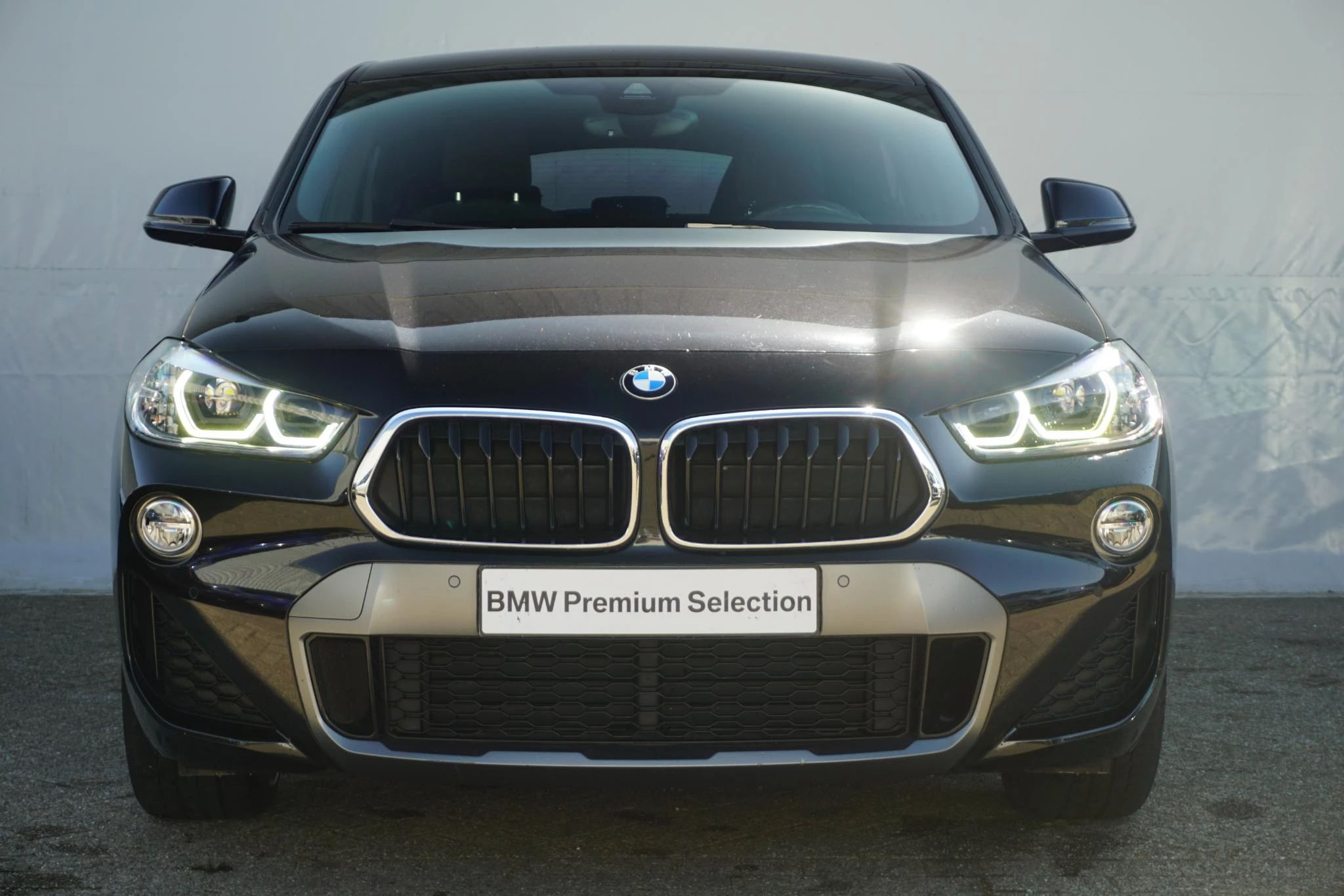 Hoofdafbeelding BMW X2