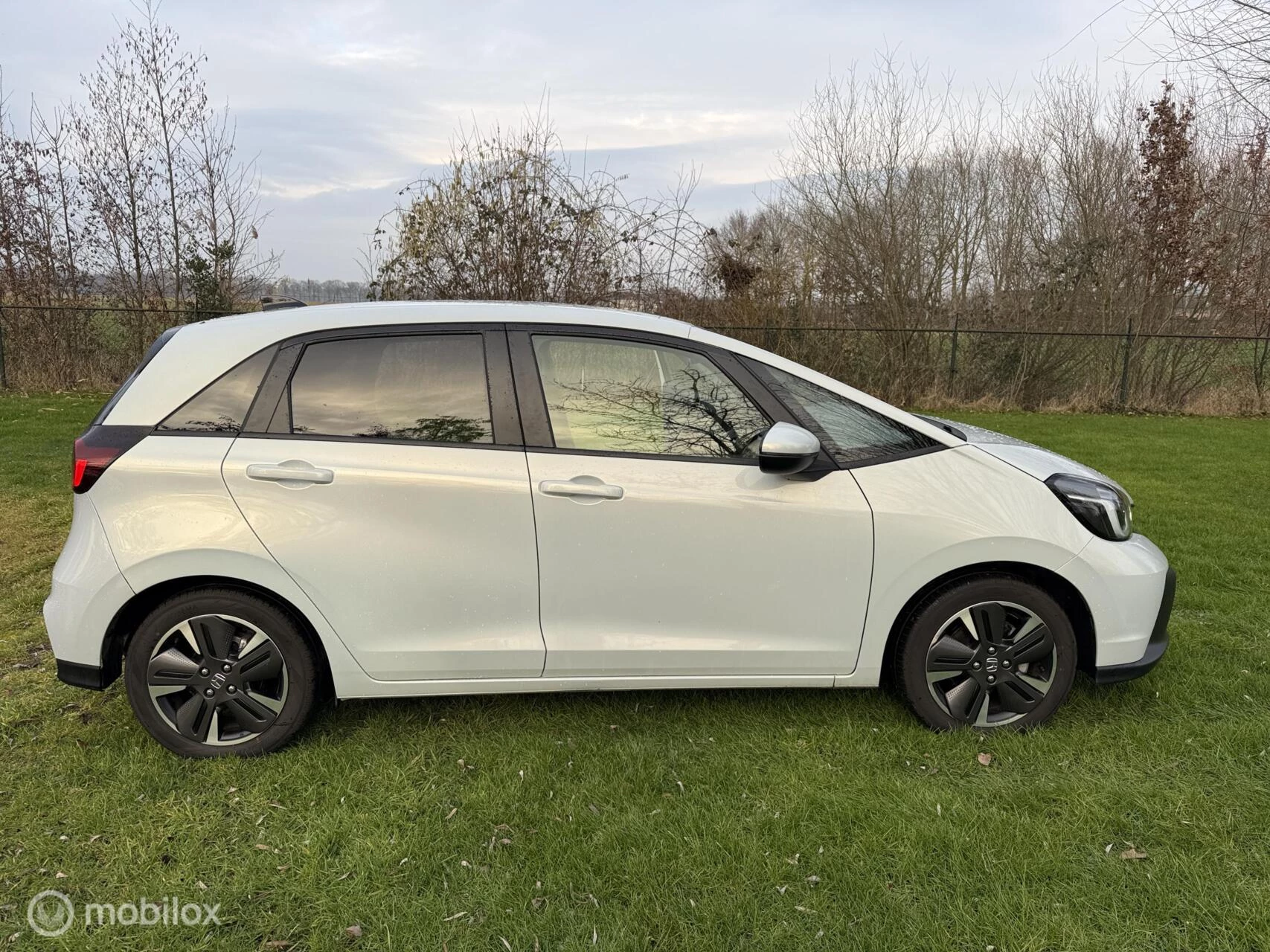 Hoofdafbeelding Honda Jazz