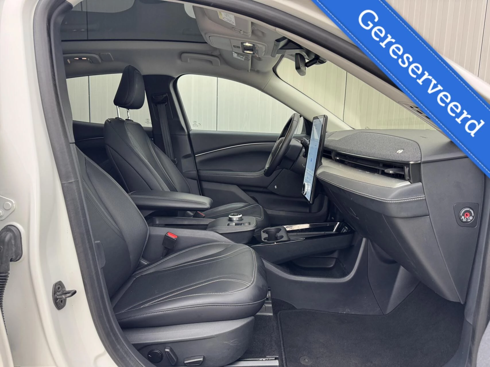 Hoofdafbeelding Ford Mustang Mach-E