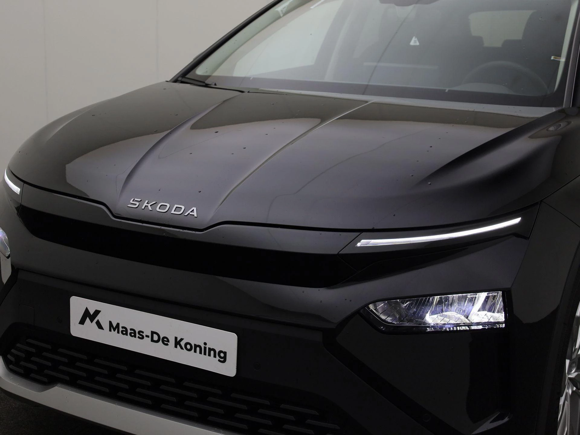 Hoofdafbeelding Škoda Elroq