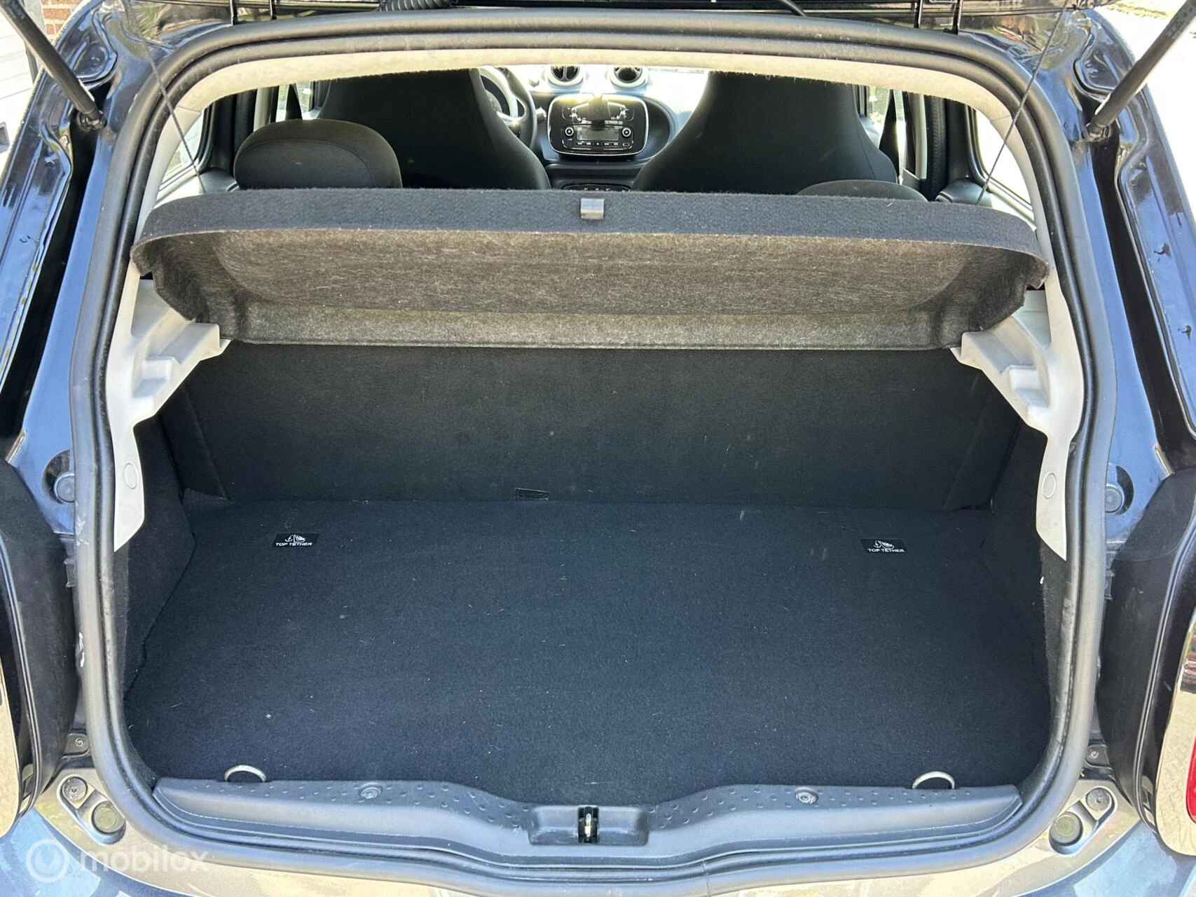 Hoofdafbeelding smart Forfour