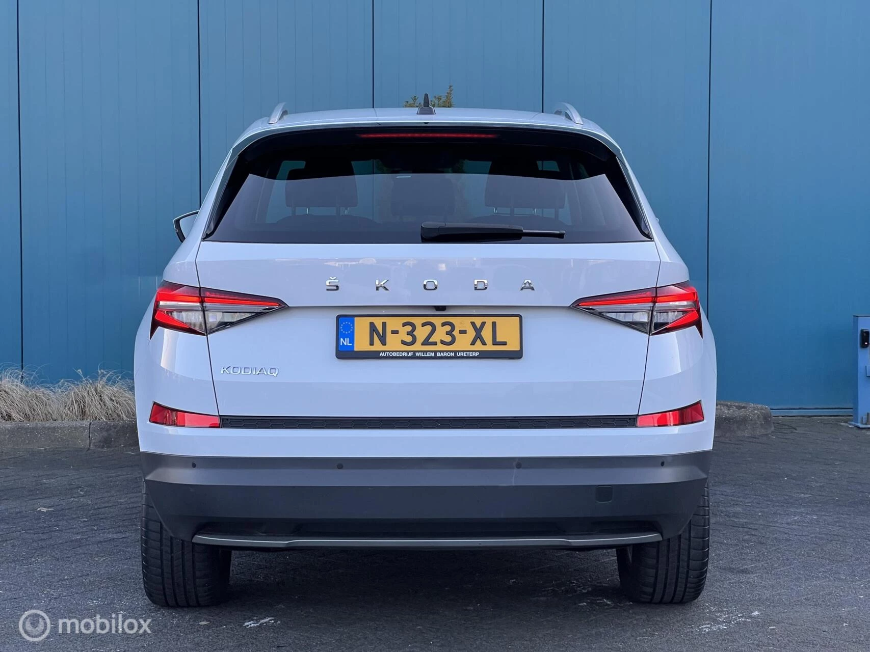 Hoofdafbeelding Škoda Kodiaq