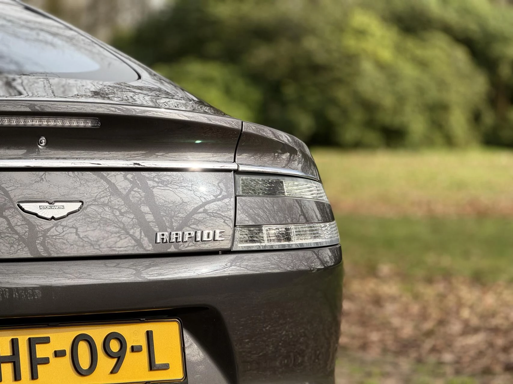 Hoofdafbeelding Aston Martin Rapide