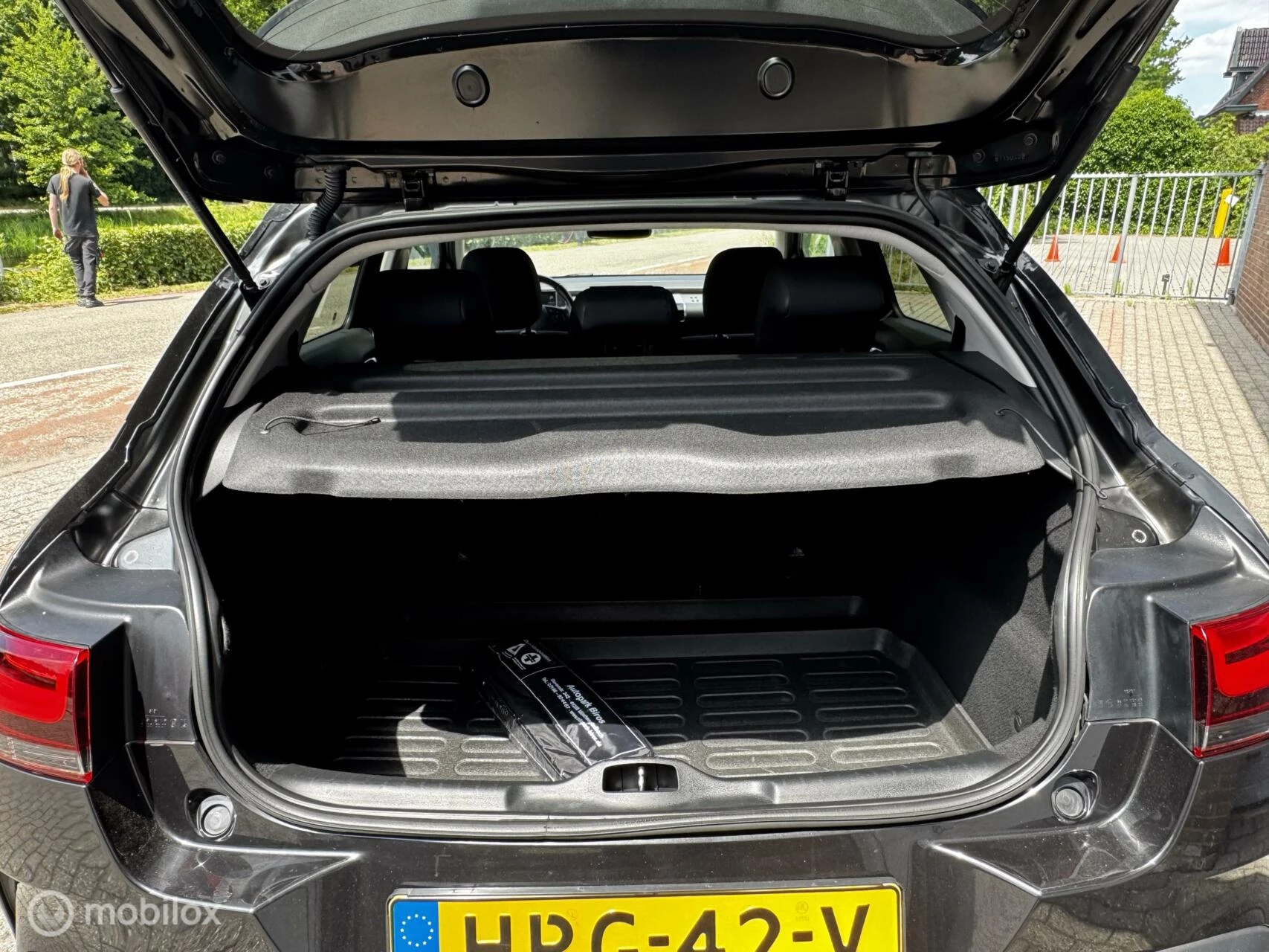 Hoofdafbeelding Citroën C4 Cactus