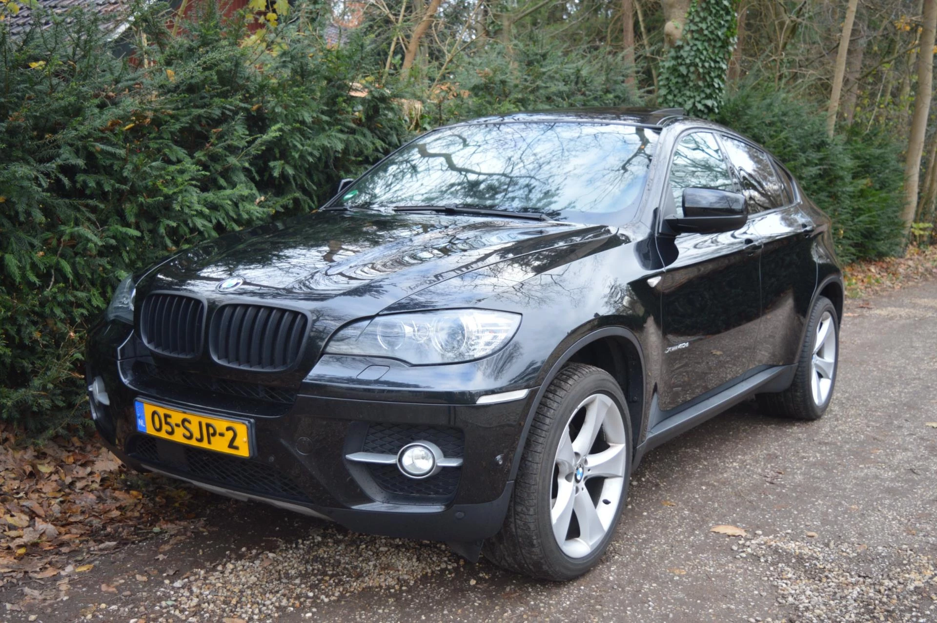 Hoofdafbeelding BMW X6