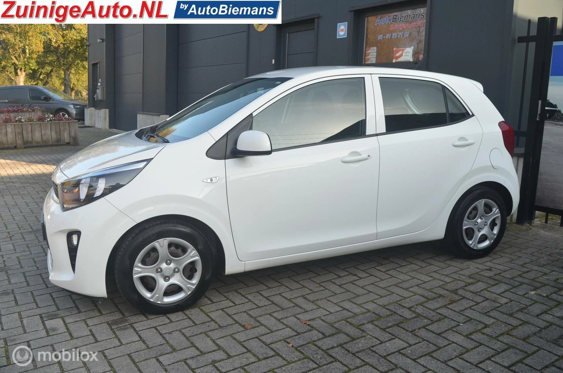 Hoofdafbeelding Kia Picanto