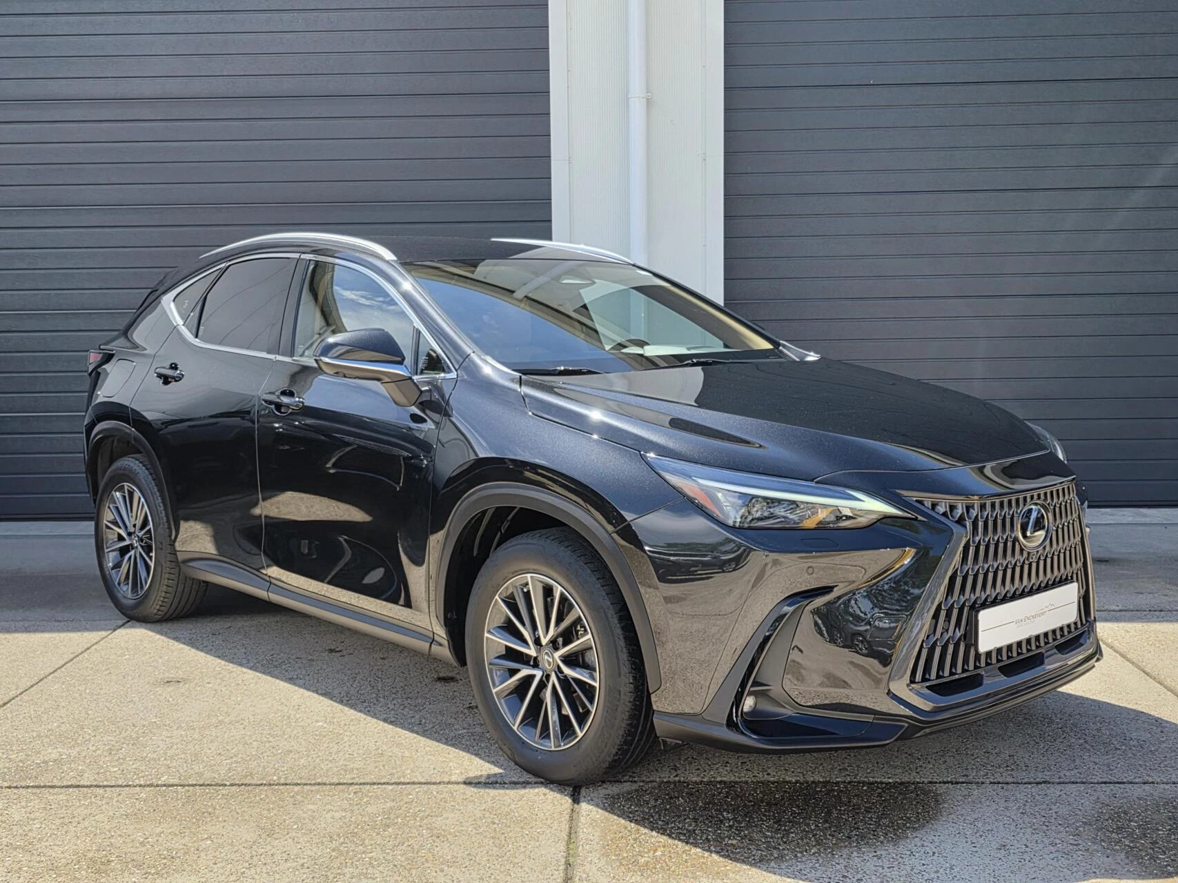 Hoofdafbeelding Lexus NX