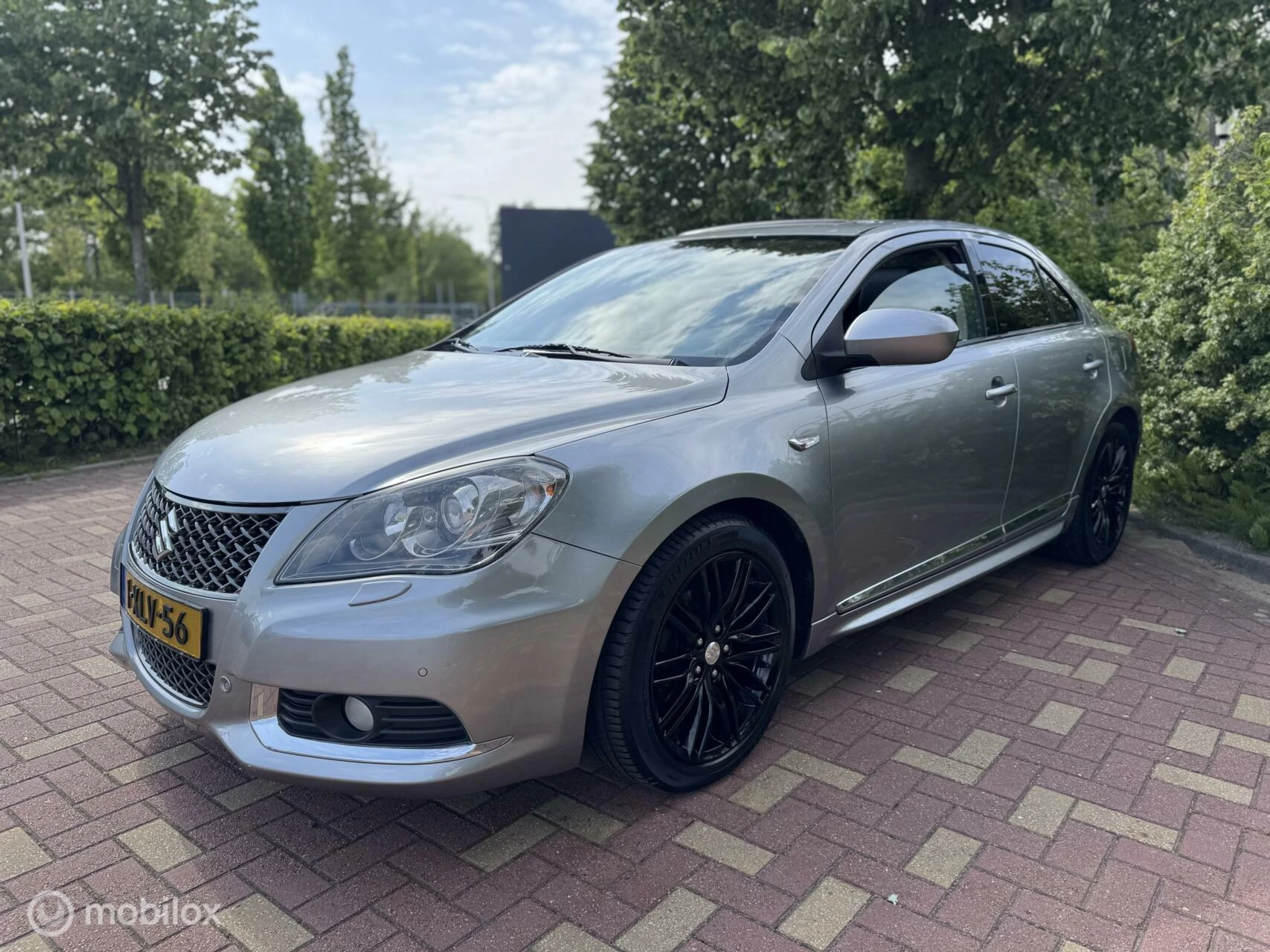 Hoofdafbeelding Suzuki Kizashi