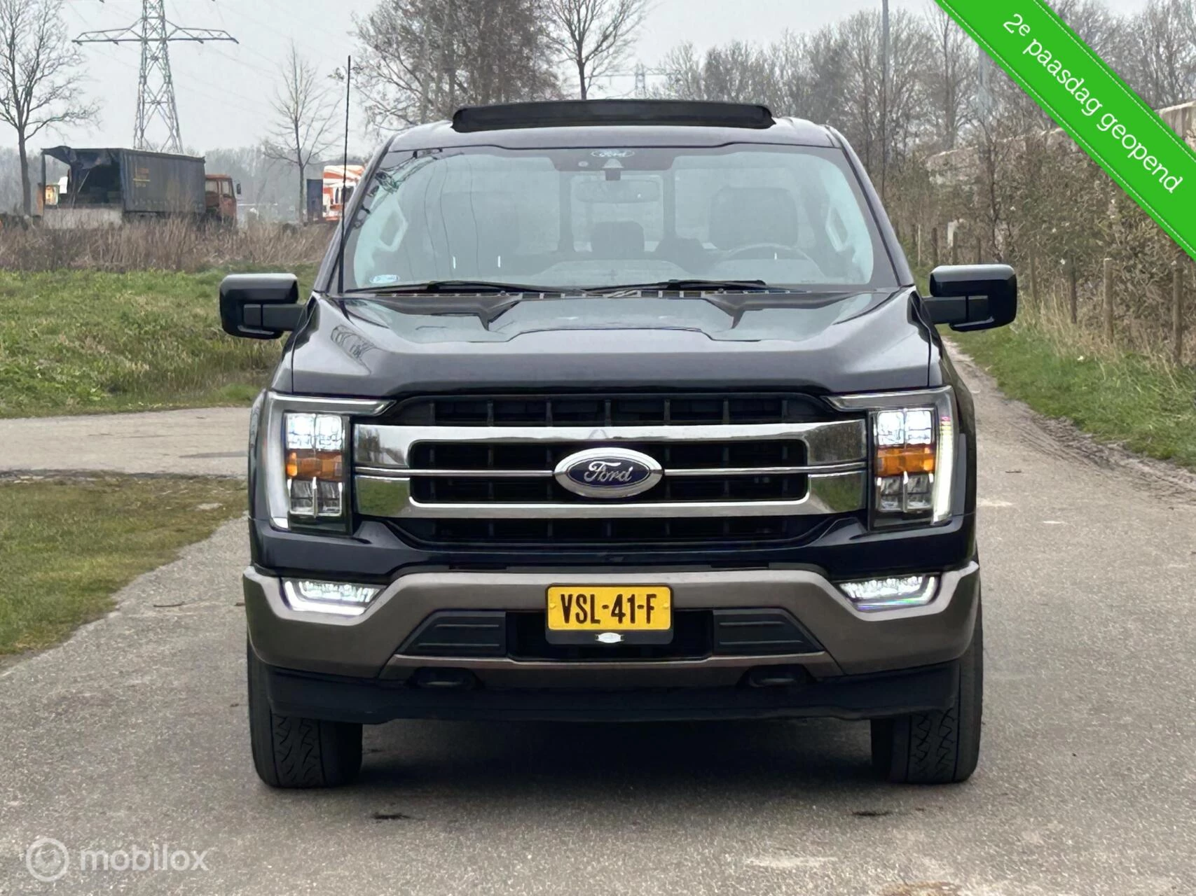 Hoofdafbeelding Ford F-150