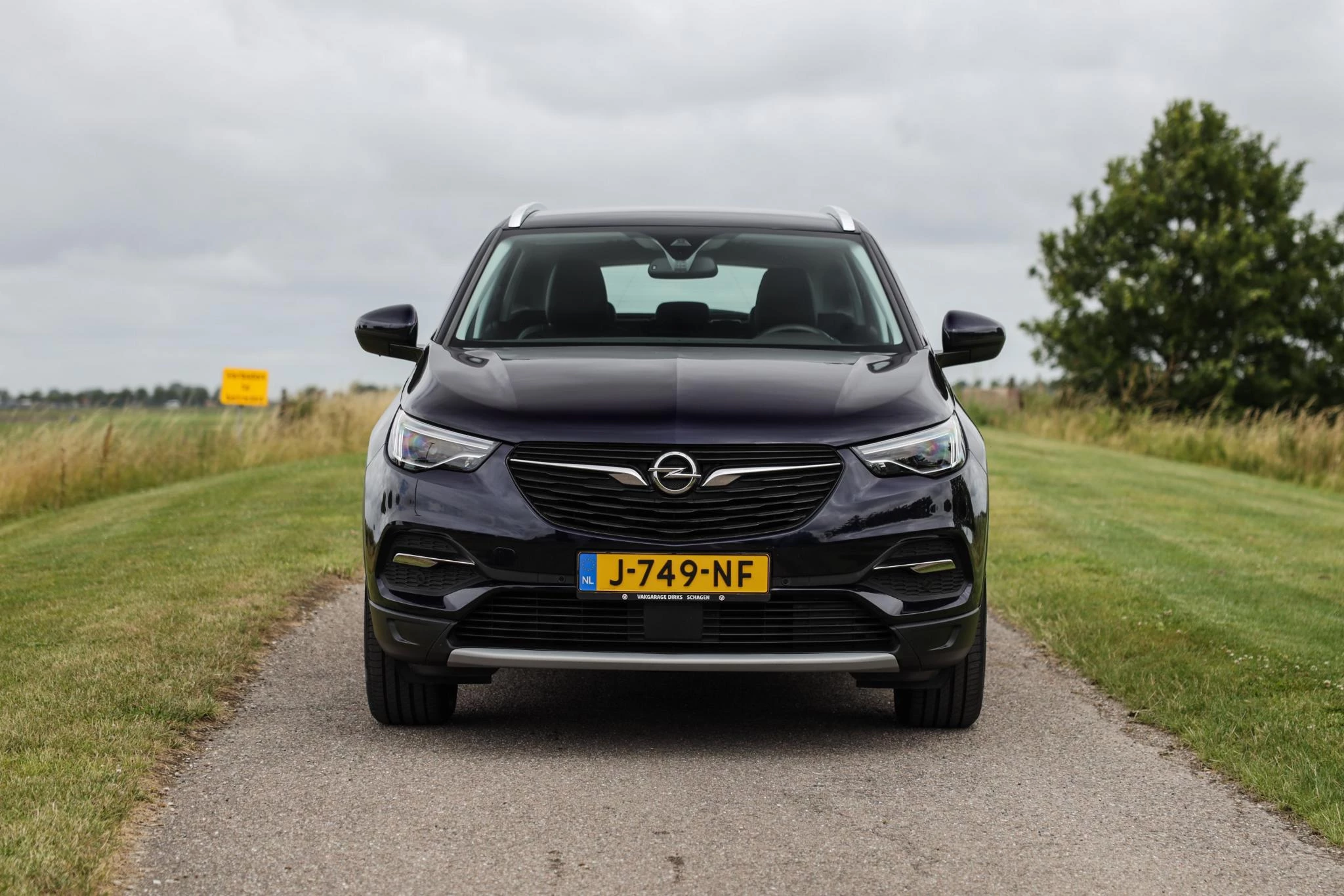 Hoofdafbeelding Opel Grandland X
