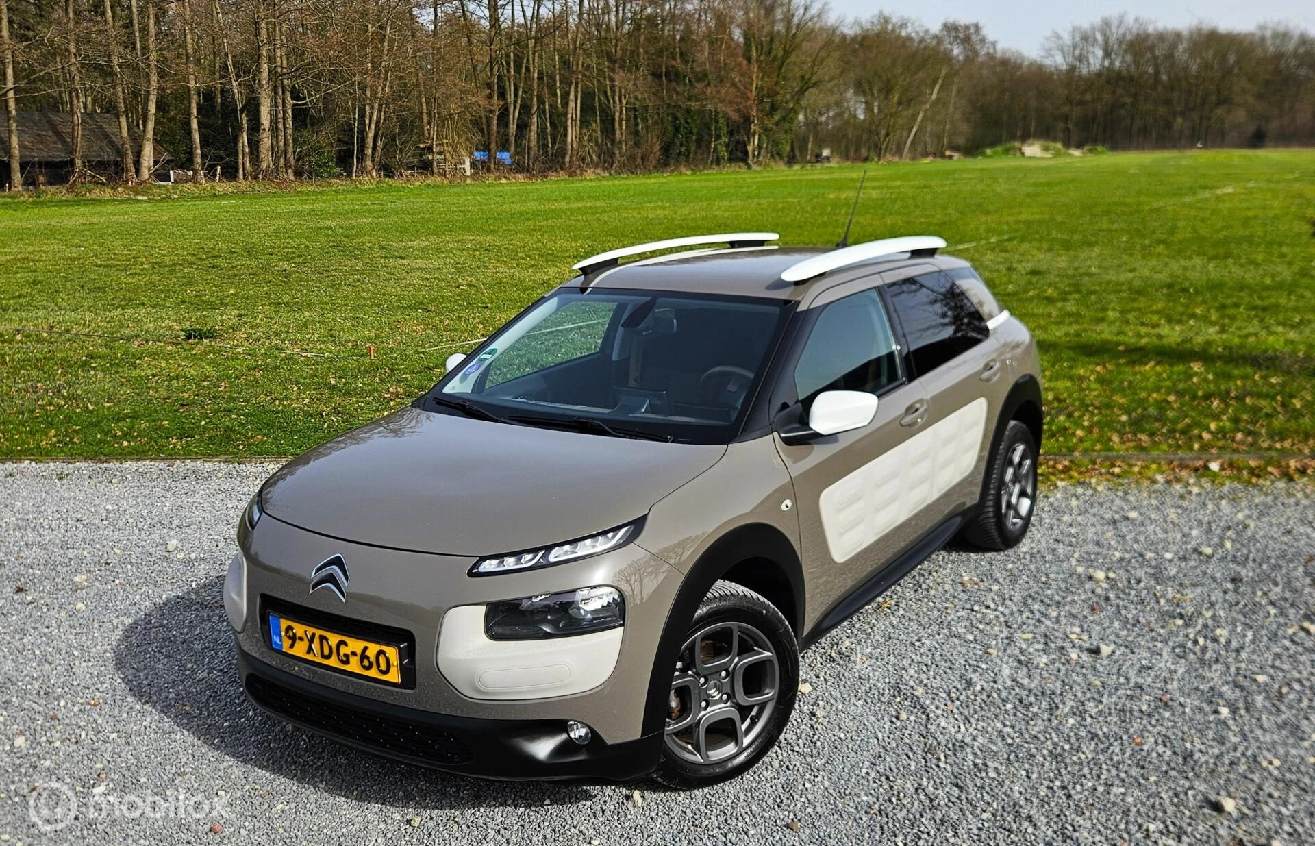 Hoofdafbeelding Citroën C4 Cactus