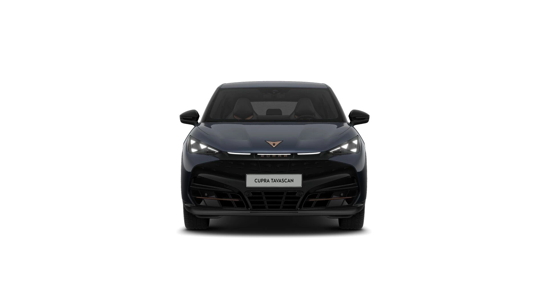 Hoofdafbeelding CUPRA Tavascan