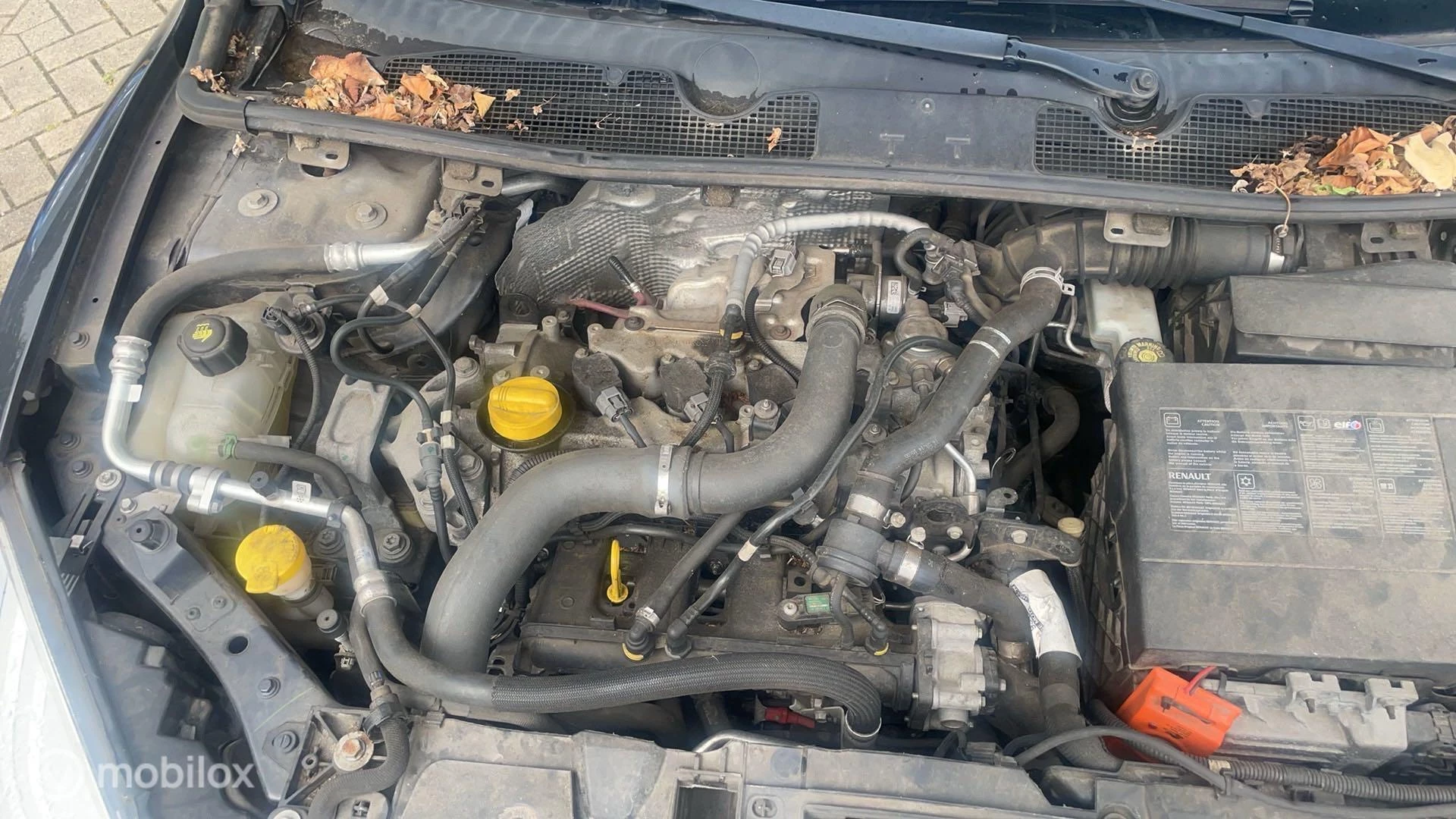 Hoofdafbeelding Renault Mégane