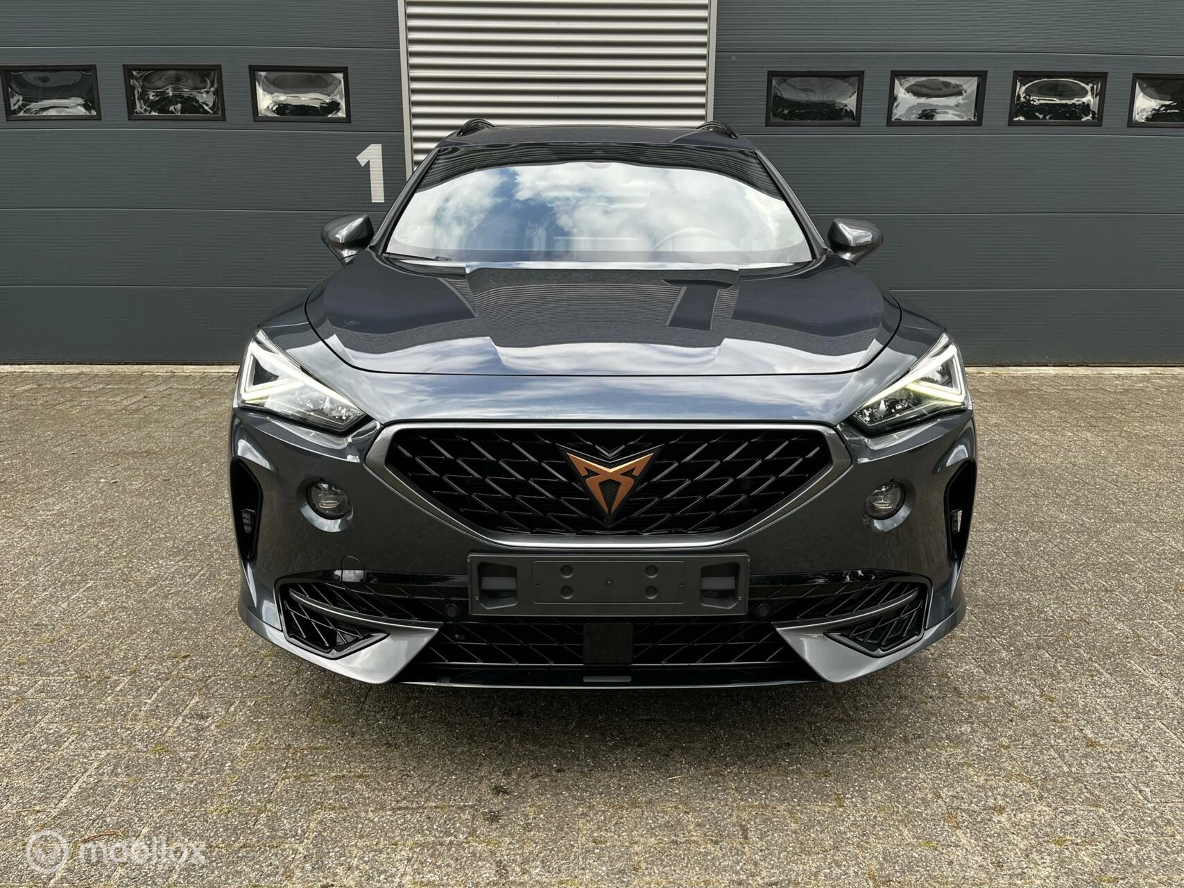 Hoofdafbeelding CUPRA Formentor